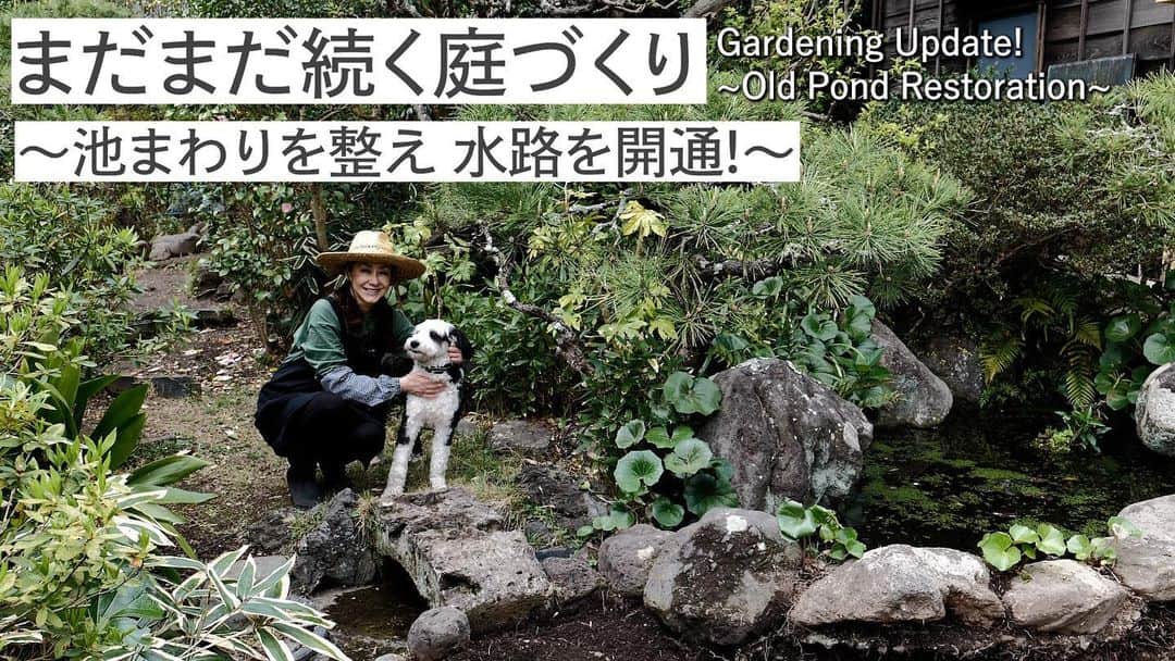 桐島かれんのインスタグラム：「YouTube アップしました！ 今回は、池につながる水路の修復。 是非、ご覧ください！ #桐島かれんathome #庭仕事#庭づくり#池#遣水」
