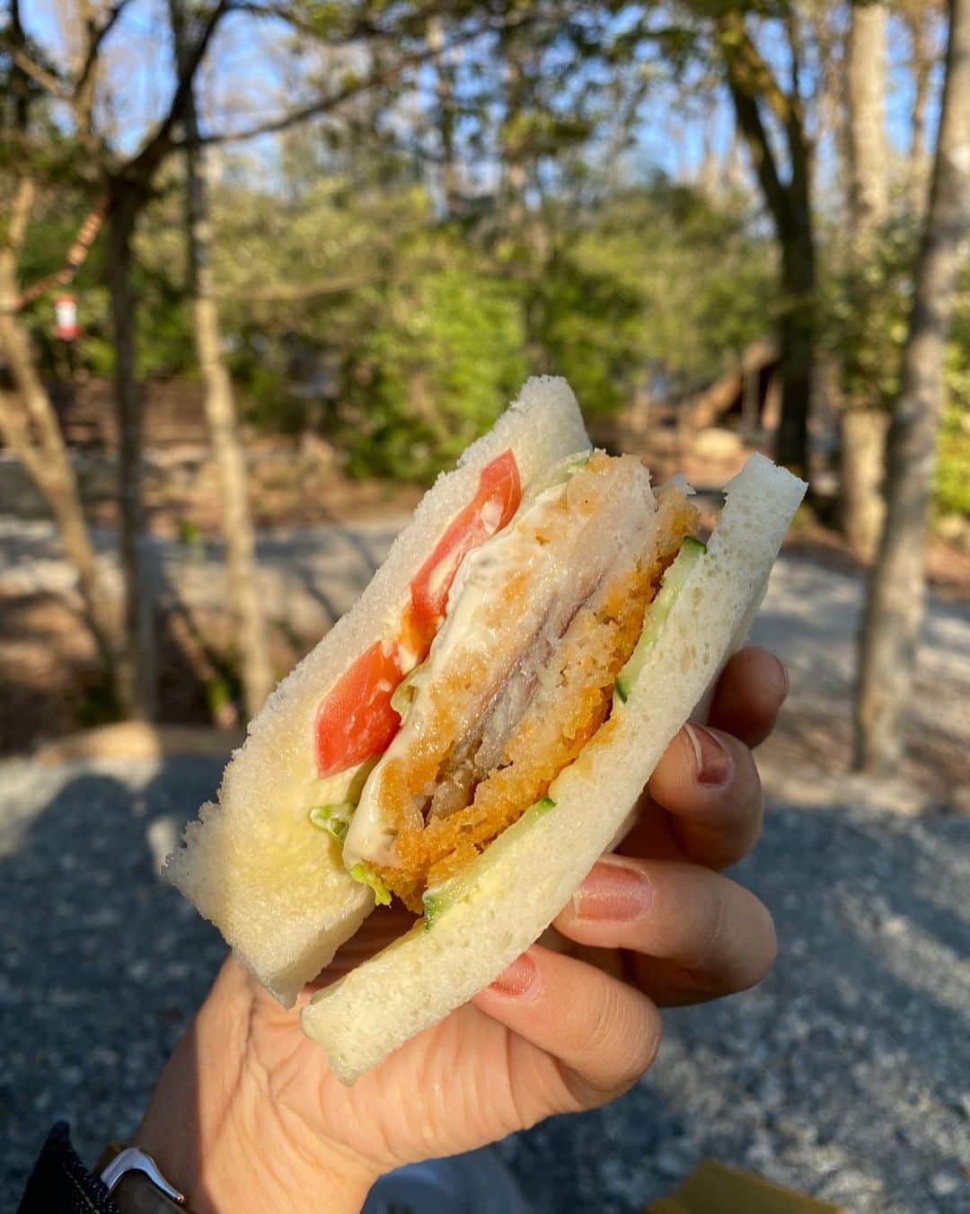 Rihwaさんのインスタグラム写真 - (RihwaInstagram)「スーパーのパン屋さんで買ったフィッシュサンドイッチが極上に美味しかった！🥹❤️🫶🏽🥪🌞🌲  #りふぁんだふる #キャンプ #RihwaCamp」4月9日 20時17分 - rihwa_official