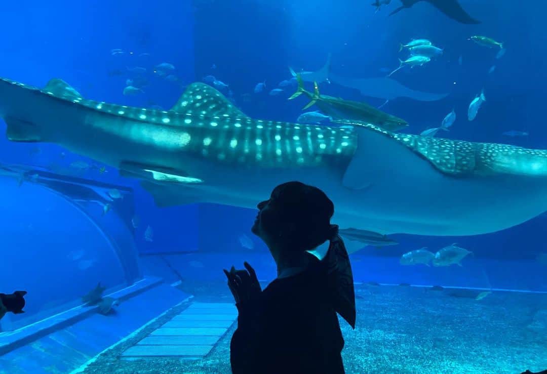 平塚麗奈のインスタグラム：「・ #美ら海水族館  優雅に泳ぐジンタくんが可愛すぎてず〜〜〜っと眺めてた  時間の流れがゆ〜っくりに感じましたっ水族館っていいね🤤🫶」