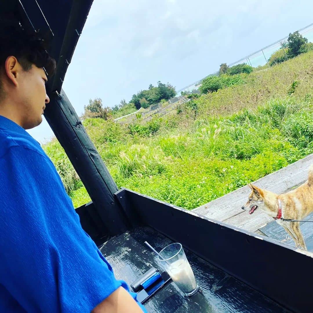 中村昌也のインスタグラム：「友達出来たよ❕ 絶対こっち向かない照れ屋さん😆 本日営業しております❕ 宮古島市平良下里646-2 バロックビル6階 #宮古島 #沖縄 #宮古島バー #miyakojima #miyakojimabar #バーイズ #イズ #baris #is #newopen #居酒屋 #海 #beach #japan #中村昌也」