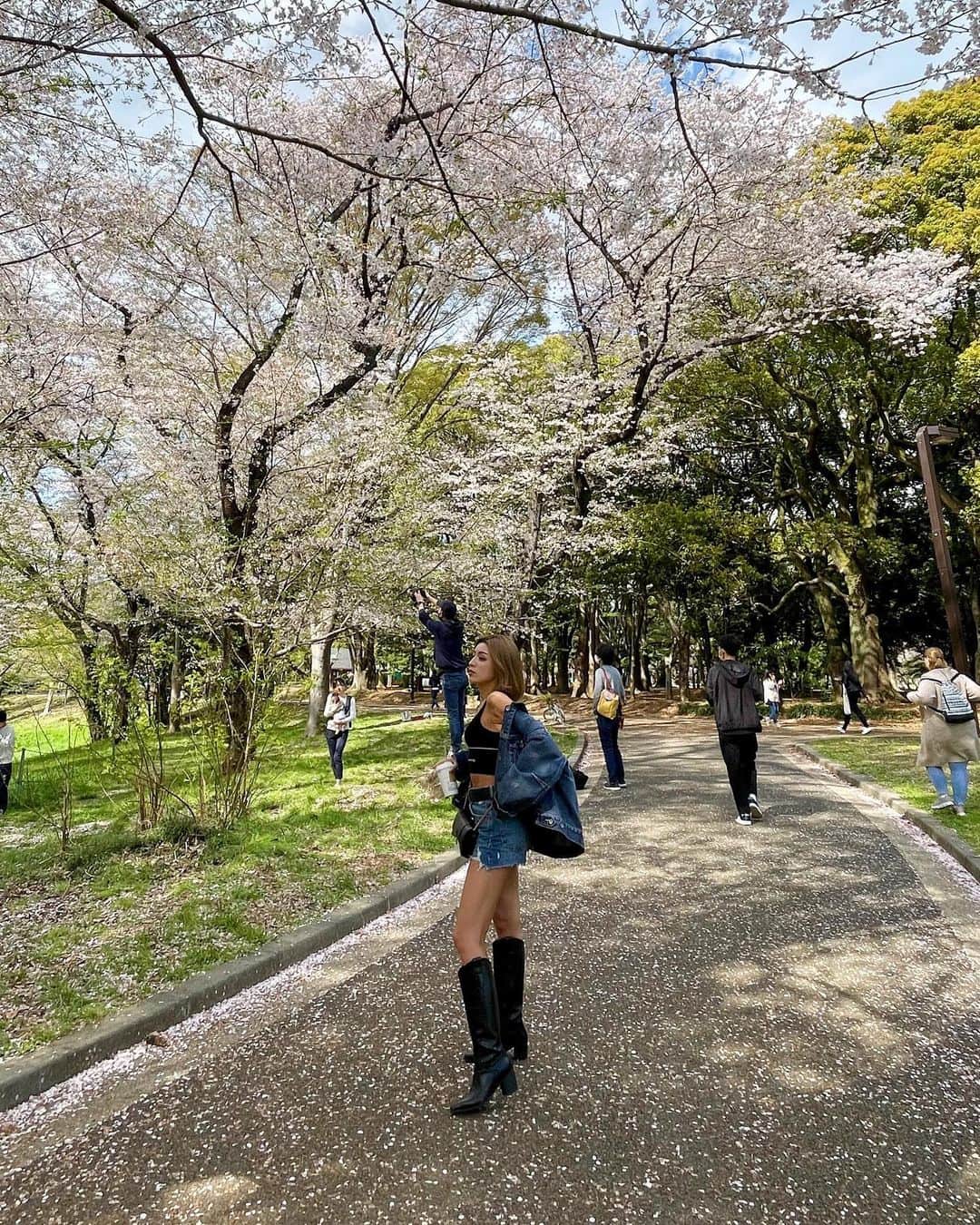 MIWAのインスタグラム：「🌸💭🌳 ㅤㅤㅤㅤㅤㅤㅤㅤㅤㅤㅤㅤㅤ ㅤㅤㅤㅤㅤㅤㅤㅤㅤㅤㅤㅤㅤ 今はもう桜散っちゃってるけど時差投稿。 代々木公園人沢山だった🌿 ノーマルカメラの0.7で撮ると 脚長効果あって身長盛れるよ🫶🏼笑 ㅤㅤㅤㅤㅤㅤㅤㅤㅤㅤㅤㅤㅤ ㅤㅤㅤㅤㅤㅤㅤㅤㅤㅤㅤㅤㅤ 体調崩してたけどだんだん 良くなってきたので明日から またお仕事頑張りましょ🫨🫧 ㅤㅤㅤㅤㅤㅤㅤㅤㅤㅤㅤㅤㅤ #代々木公園#桜#お花見 #お花見スポット#デニムコーデ #デニムオンデニム」
