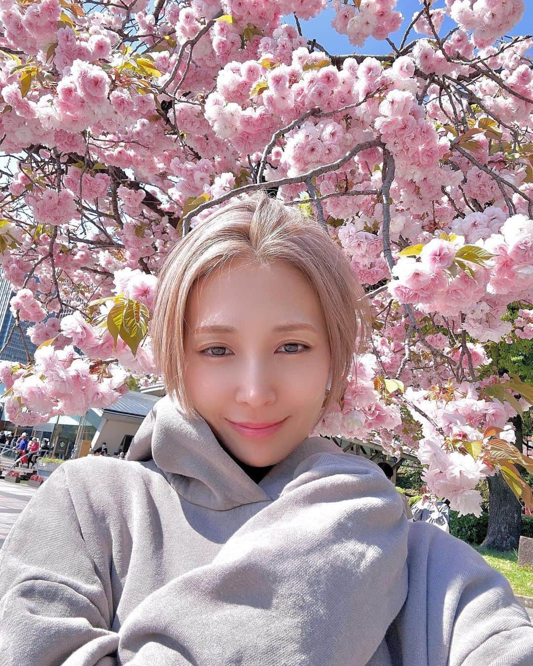 澤田友美のインスタグラム：「皇居で光合成🐢🌸 この桜はのんてゆう種の桜なの？ すごく綺麗だった‼︎ . . #皇居ラン #cherryblossom」