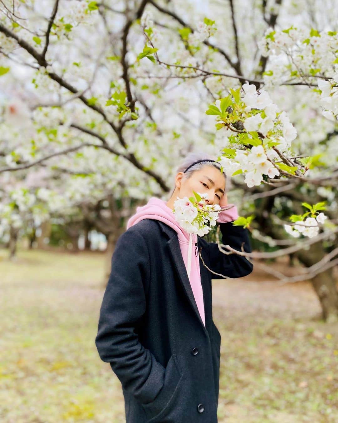 柴崎楽さんのインスタグラム写真 - (柴崎楽Instagram)「桜だよ🌸」4月9日 20時28分 - v_raku_r