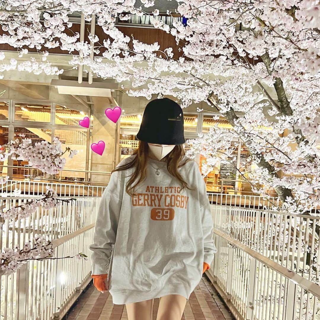 AYAKAのインスタグラム：「ㅤ  ㅤ 日中見る 🌸 も 夜見る 🌸 も だいすき 💞  ㅤ弘前も見に行きたいけど 満開はいつかなあ？  予定だと 来週天気悪いよね〜( ´ • ·̫ • ` )💭  🍡食べて ポカポカ天気の中座って 🌸見てたい  ㅤ  ㅤ#outfit #code #fashion #ootd #今日のコーデ #cherryblossom #桜 #スウェットコーデ #花見 #春コーデ #SHEIN #freakstore」