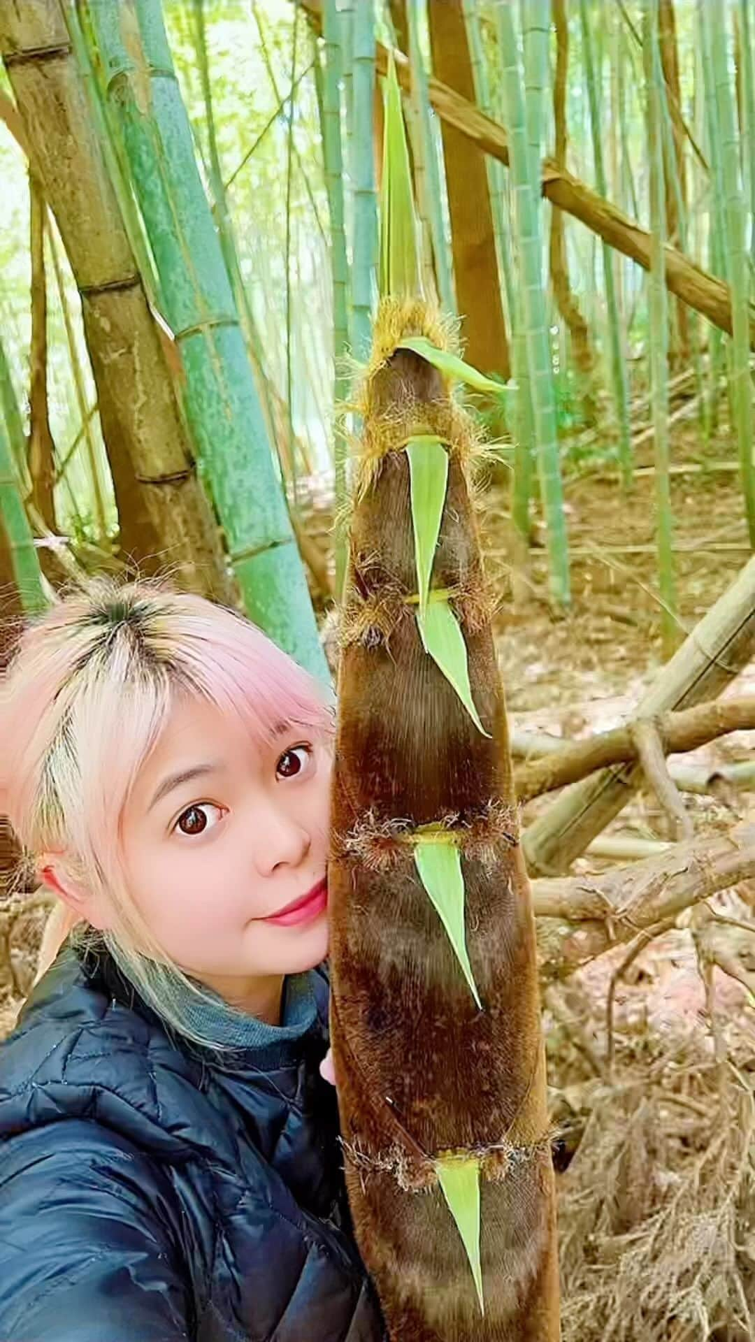 野澤美仁のインスタグラム：「竹のこ！  #hair#flowers #flower#dandelion #たんぽぽ#nature #travel #travelphotography #japan #RABBIT#art#artist#bamboo#たけのこ #food #delicious #ヘアカラー #旅 #旅行   ミサトーナイト！毎週金曜日22時から聴いてください！アプリListen Radioでも聴けます！ #FM88.5#listenradio #リスラジ #youtubelive #ミサトーナイト#cuteanimalshow#miffy#ミッフィー#smile#forest#自然」