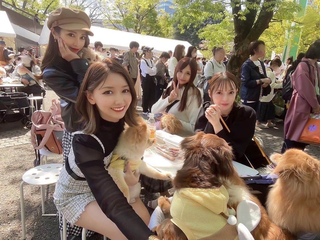 のインスタグラム：「⁡ 代々木公園わんわんカーニバル🐶🐾 仲良いお友達が犬ママ仲間なの最高♡！ ⁡ #いぬすたぐらむ #いぬのいる暮らし  #いぬのいる生活 #犬のいる暮らし  #犬のいる生活 #愛犬家 #愛犬 #ポメ #ミニチュアダックスフンド #多頭飼い  #ミニチュアダックス #ポメラニアン  #犬とお出かけ #ドッグラン #代々木公園」