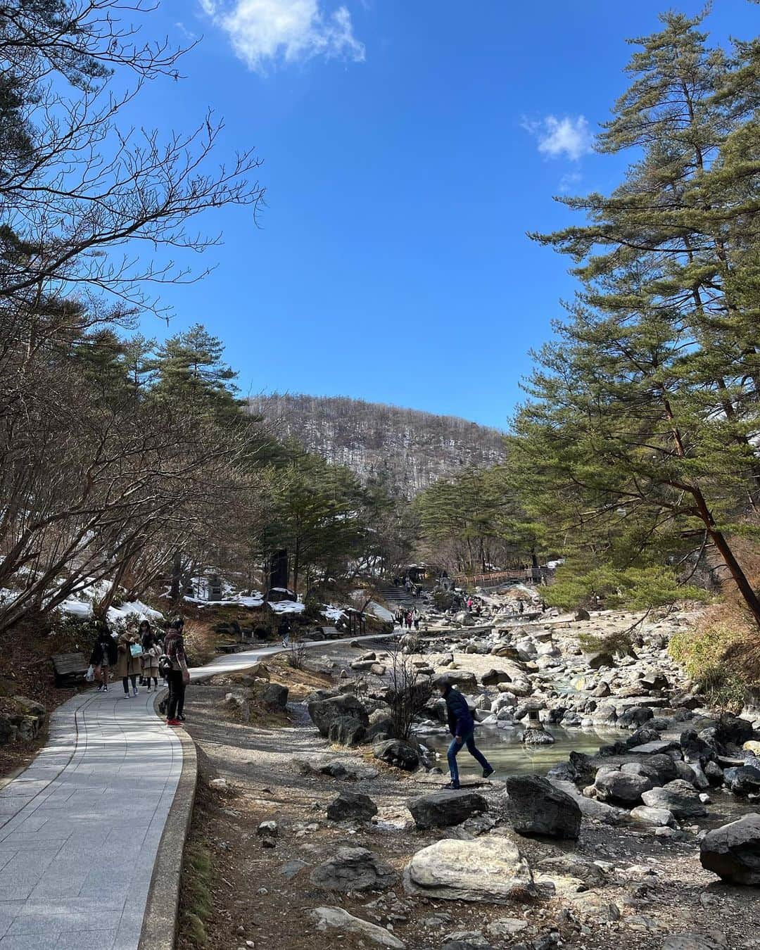 松山莉奈のインスタグラム：「3月🌸」