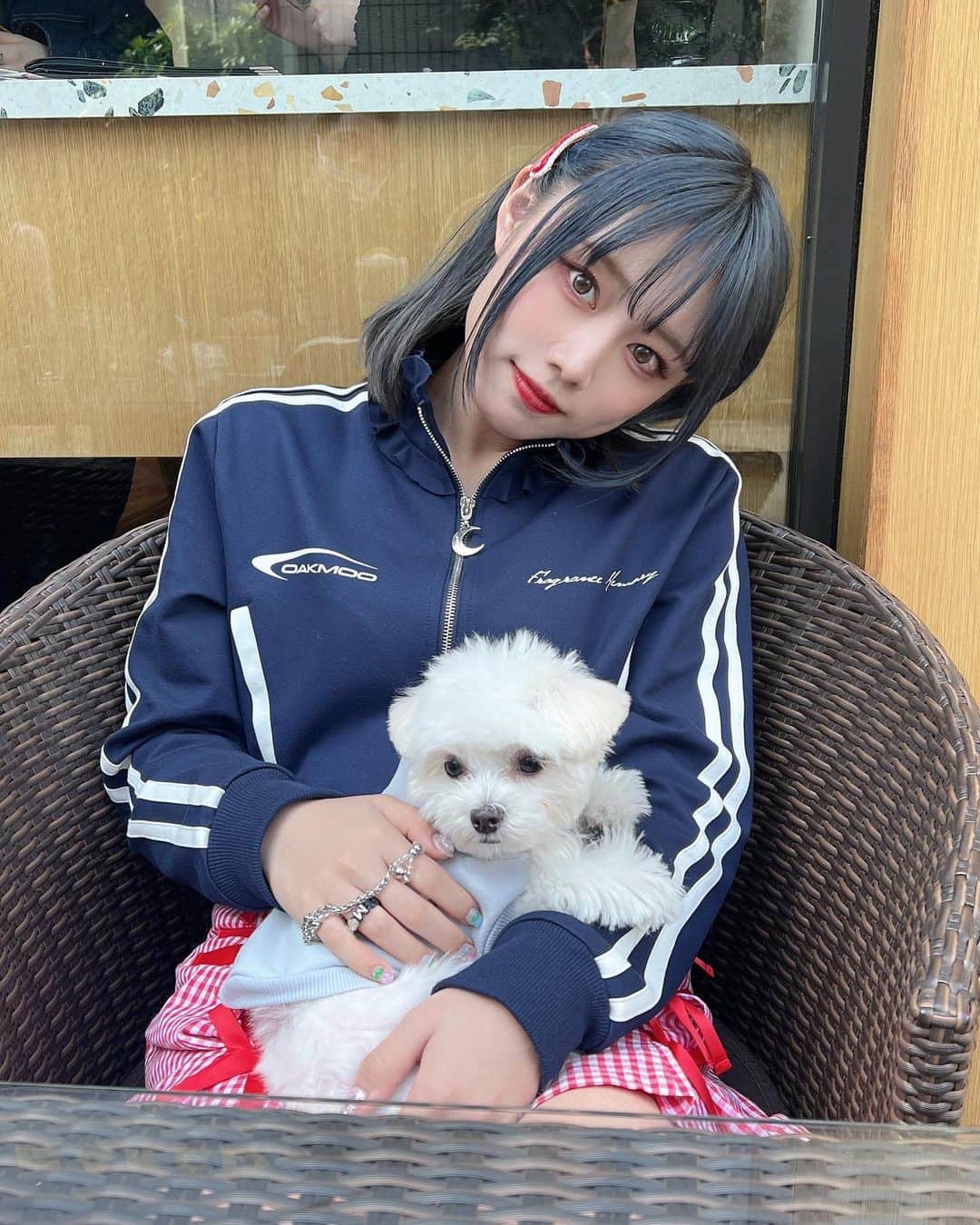 のインスタグラム：「ㅤㅤㅤㅤㅤㅤㅤㅤㅤㅤㅤㅤㅤㅤㅤㅤㅤㅤㅤㅤㅤㅤㅤㅤㅤㅤ  るるとなかよくなった日 🫶🏻 @loulou__blanc   ㅤㅤㅤㅤㅤㅤㅤㅤㅤㅤㅤちいさい身体で生きてる温度かんじてㅤㅤㅤㅤㅤㅤㅤㅤㅤㅤㅤㅤㅤ 見るもの全てに興味津々でかわいかったㅤㅤㅤㅤㅤㅤㅤㅤㅤㅤㅤㅤㅤ ㅤㅤㅤㅤㅤㅤㅤㅤㅤㅤㅤㅤㅤ いまりん @imari_style ありがとう🤍」