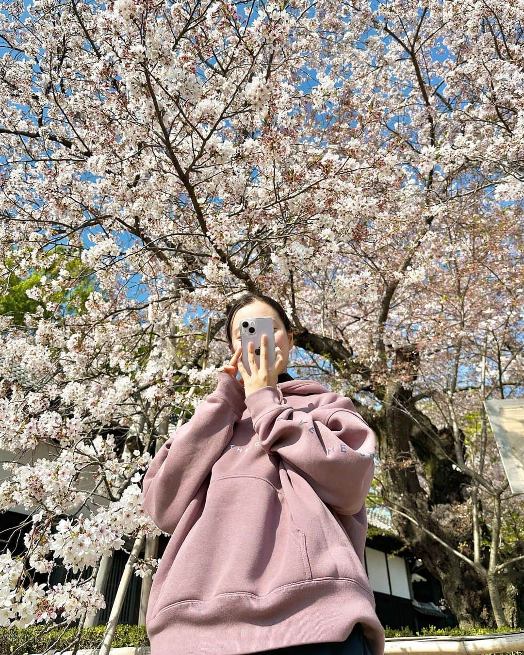 小堀桃子のインスタグラム：「. . . 🌸 . . . #桜 #sakura #cherryblossom #japan」