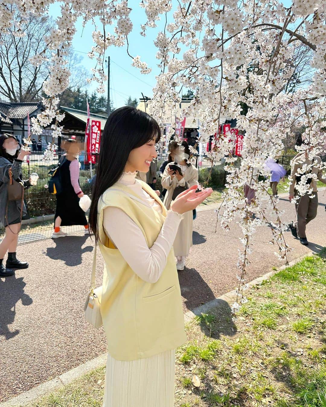 関根ささらさんのインスタグラム写真 - (関根ささらInstagram)「仙台にある #西公園 #桜岡大神宮 にて🌸  東京の見頃の時期は台湾にいて、帰ってきたら雨が続いてしまい、気付いたら葉桜に……なんてことになっていたので、仙台で見た桜が今年唯一ちゃんと見られた桜でした🌸  公園の横に神社があって、御朱印もめちゃくちゃ可愛かった……💗🌸📕 . . . . #櫻岡大神宮 #仙台旅行 #仙台観光 #桜 #桜スポット #お花見 #花見 #sakura #cherryblossom #cherryblossoms」4月9日 21時09分 - sasarasekine