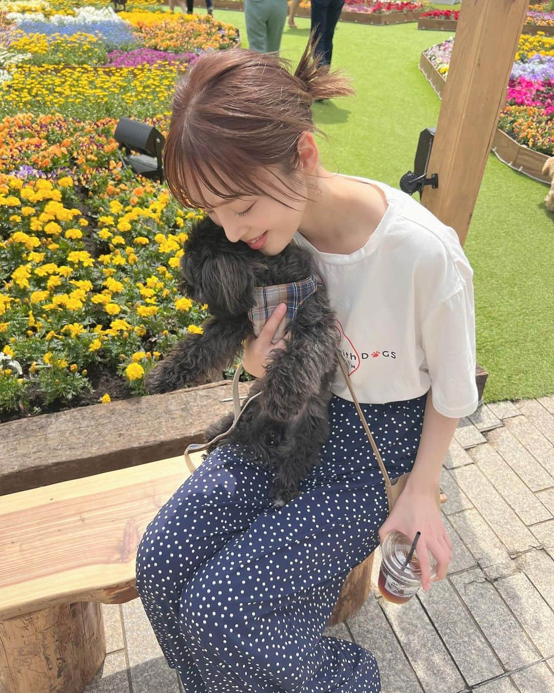 のインスタグラム：「私の癒し🐶❣️  明日もまた頑張ろう☺️☺️  #シープー #愛犬 #シーズー #プードル」
