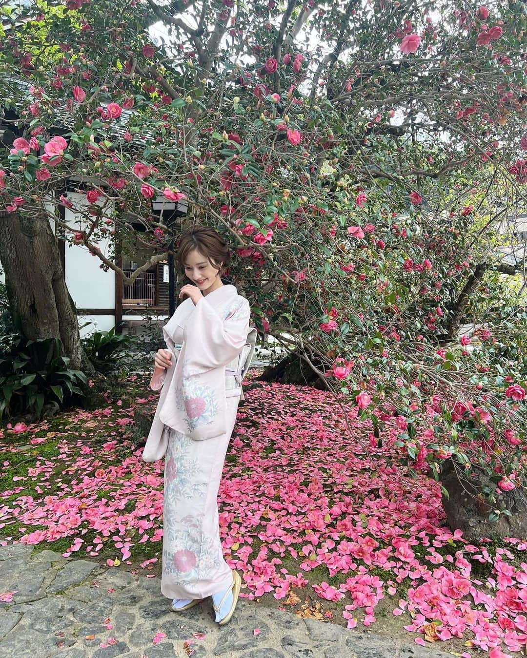 谷まりあさんのインスタグラム写真 - (谷まりあInstagram)「京さんぽ🇯🇵🌸 今回はランチには祇園椿さん お散歩は椿が綺麗に咲いていた霊鑑寺、桜がまだ咲いていた東寺にも行ってきました♪京都に行った際にはぜひ🌿✨ 素敵な出会いばかりで心がほっこりです🌸💗 通うほど京都が好きになります☺️  #kyoto」4月9日 21時21分 - mariaaaa728