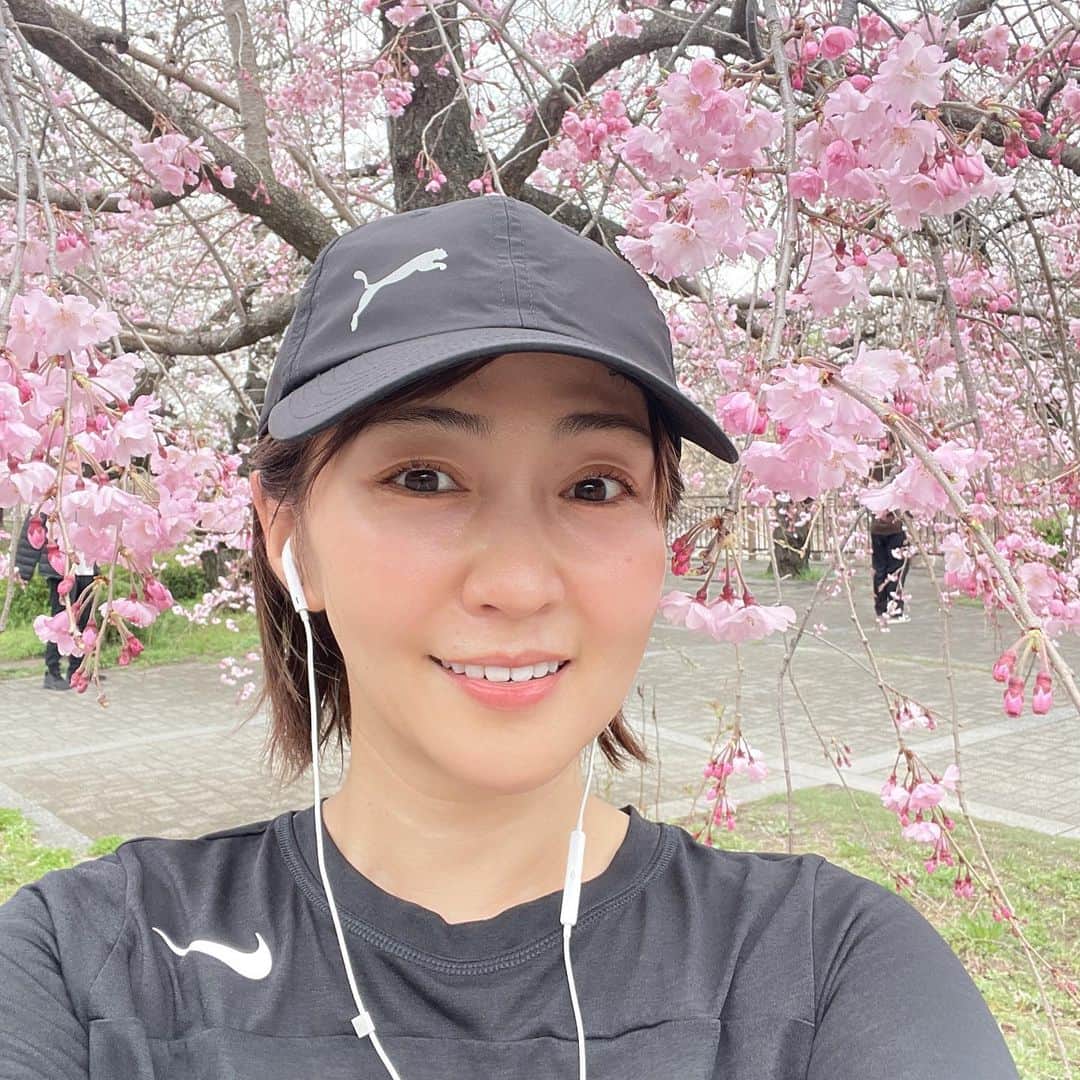 あだち理絵子さんのインスタグラム写真 - (あだち理絵子Instagram)「#大阪城公園  の春を置いときます。  #サトザクラ が満開。  花びらが多くて華やかよね。  #藤棚　もこれから楽しみ。  あげれてなかった  枝垂れ桜 ユキヤナギ ワンコと桜  春爛漫置いときます。  週2 日の5キロランニング なんとか続けたい！  最近　ワガママボディになりつつある。🥹  筋トレしたいーー。」4月9日 21時31分 - adachi.rieko