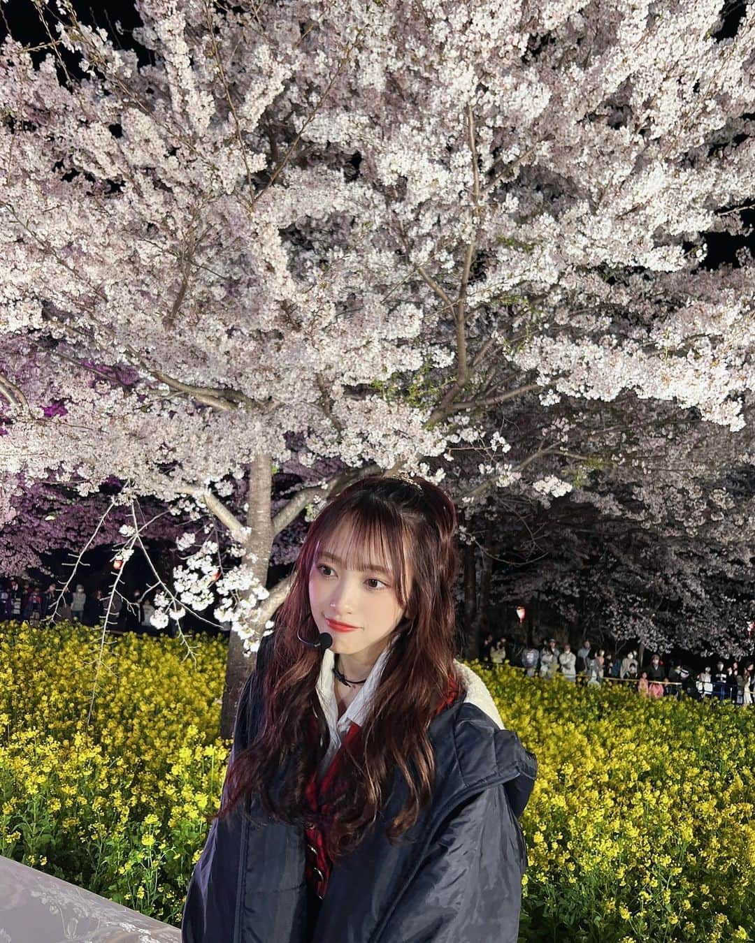 向井地美音のインスタグラム：「* 東京の桜はもう散っちゃったねえ」