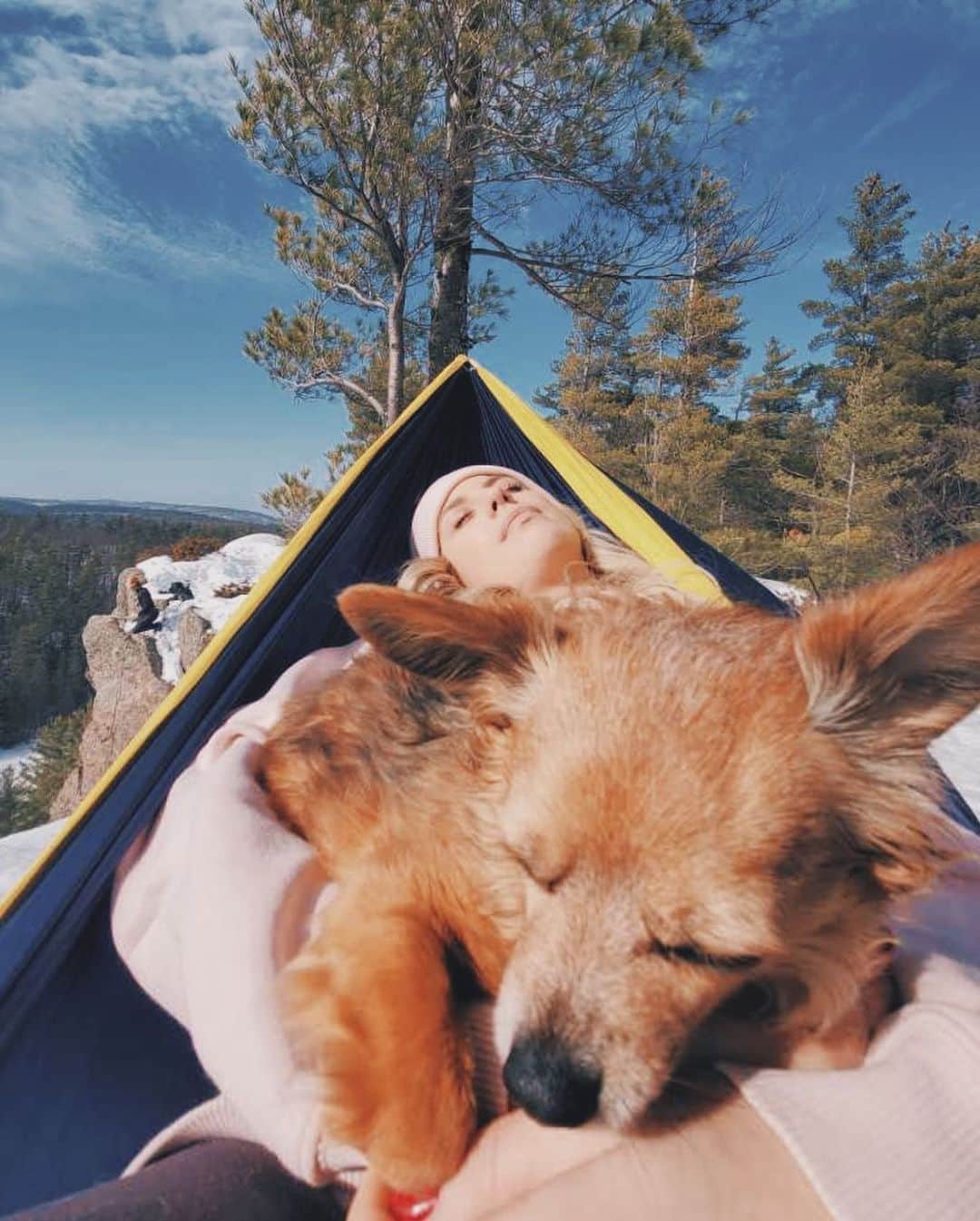 Kalyn Nicholsonさんのインスタグラム写真 - (Kalyn NicholsonInstagram)「10 pictures for 10 years of loving the biggest personality to roam the earth on four little legs.   It’s been a full decade of Bentley walking by my side, curling up behind my knees, alerting me to any home guests or deliveries, accompanying me on fun adventures, asking for belly rubs, showing off his tricks and keeping the squirrels away.  Happy birthday Benny 🤍 Now you have a home with land to roam free with your kitty siblings and a full family to protect, but when it’s early in the morning and I hear the pitter patter of paws following me to the coffee machine, it’s still just you and me!」4月9日 21時46分 - kalynnicholson13