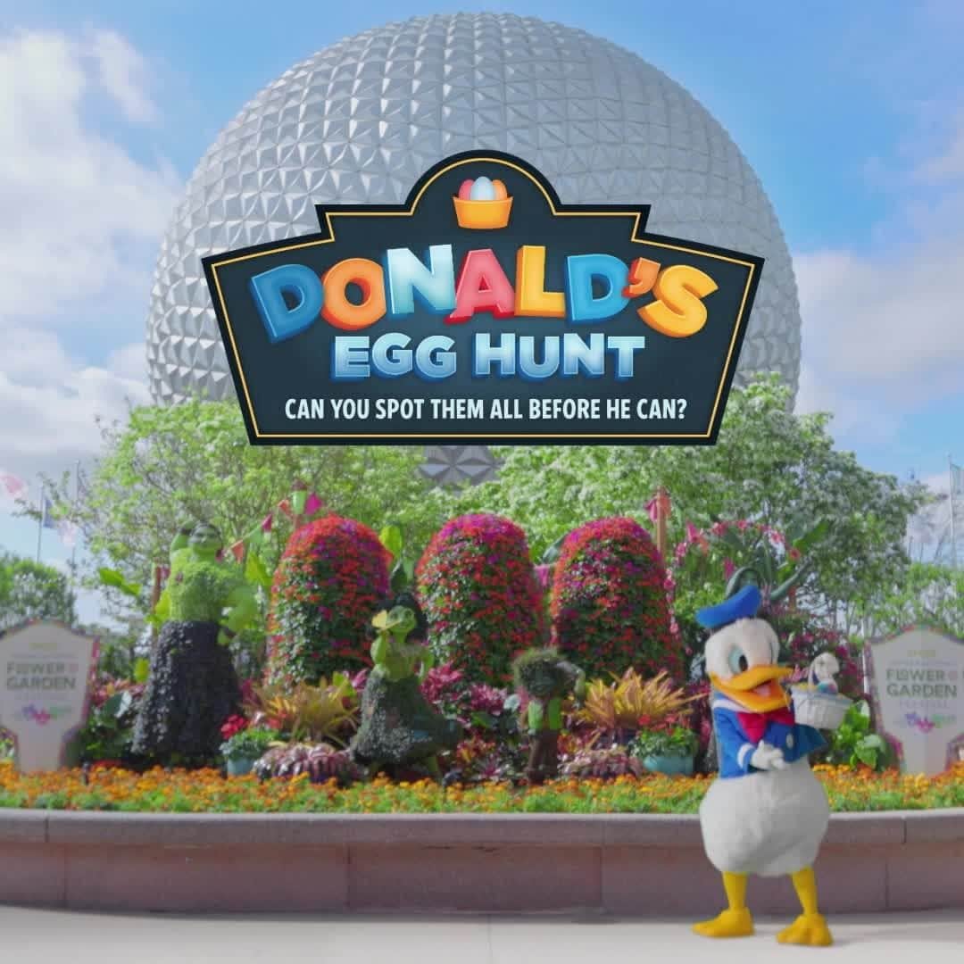 Walt Disney Worldのインスタグラム：「Oh boy—an Easter egg hunt! Swipe through, spot 'em before Donald, then tag a friend to join the fun. 🐣👀」
