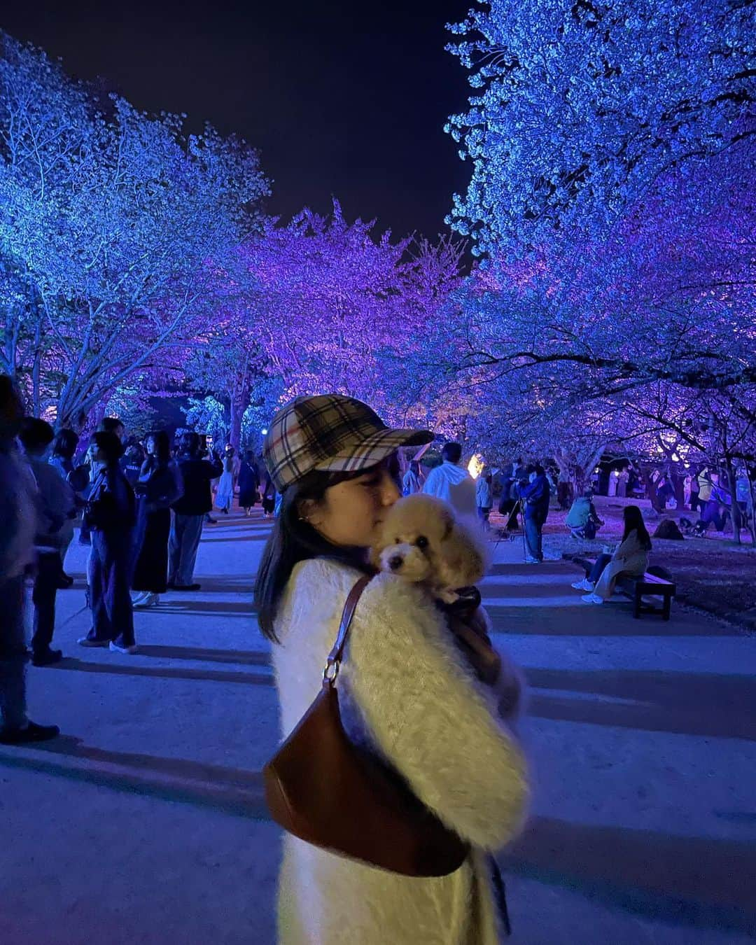 瀬口かなさんのインスタグラム写真 - (瀬口かなInstagram)「桜もう終わってしまったけど載せ忘れてた2023年の桜写真🌸🐶 ⁡ ククリと初めての桜🌸 ⁡  #instadaily #instalike #fyp #舞鶴公園」4月9日 21時55分 - seguchikana