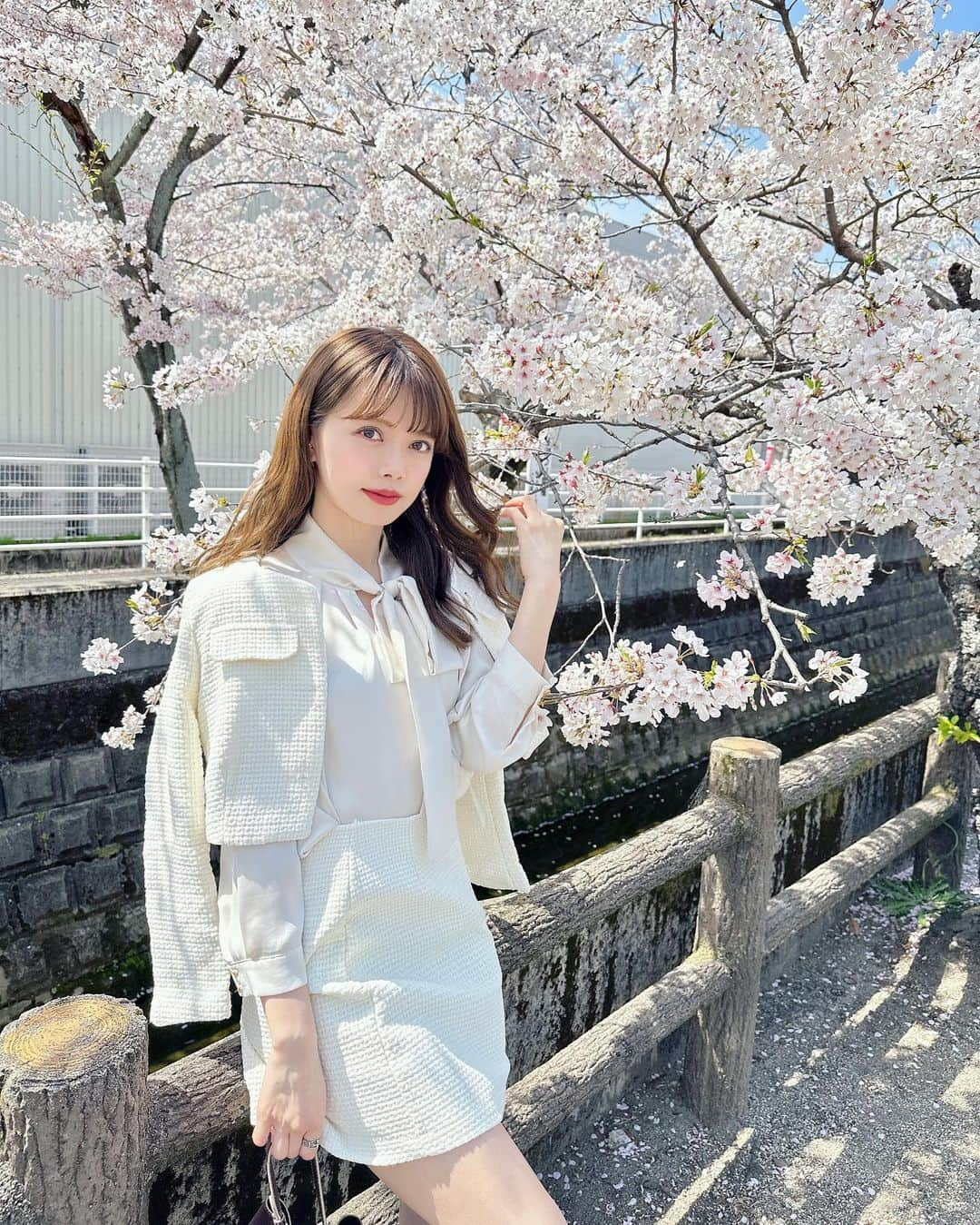 山崎春佳さんのインスタグラム写真 - (山崎春佳Instagram)「サクラ咲けっ🌸🤍🤍  東京で見られなかった桜、四日市での選挙活動中 ちょっとだけ見られた！ 桜の色、優しいピンク×白って本当にかわいいっっ  jk & skirt @emmyofficial.jp  blouse @12twelveagenda  bag @strathberry  boots @acym_official   #me #tbt #sakura #setup #emmy #blouse #cherryblossom #spring #桜 #春 #セットアップ #ロングブーツ  ちなみに、桜には触れておりません👍🏻(そう見えちゃっている気がしたので念のため)」4月9日 21時56分 - haruka_yamazaki