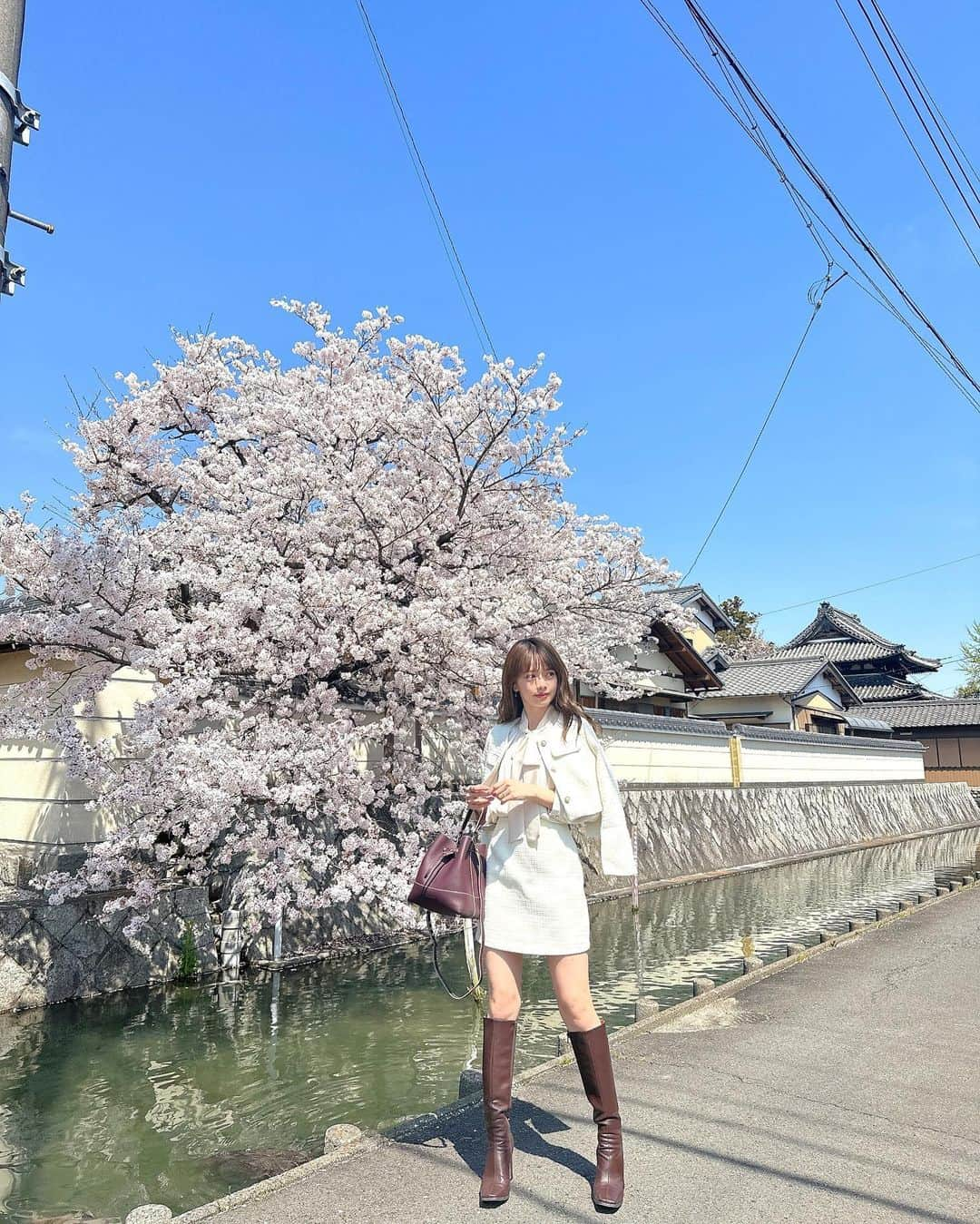 山崎春佳さんのインスタグラム写真 - (山崎春佳Instagram)「サクラ咲けっ🌸🤍🤍  東京で見られなかった桜、四日市での選挙活動中 ちょっとだけ見られた！ 桜の色、優しいピンク×白って本当にかわいいっっ  jk & skirt @emmyofficial.jp  blouse @12twelveagenda  bag @strathberry  boots @acym_official   #me #tbt #sakura #setup #emmy #blouse #cherryblossom #spring #桜 #春 #セットアップ #ロングブーツ  ちなみに、桜には触れておりません👍🏻(そう見えちゃっている気がしたので念のため)」4月9日 21時56分 - haruka_yamazaki