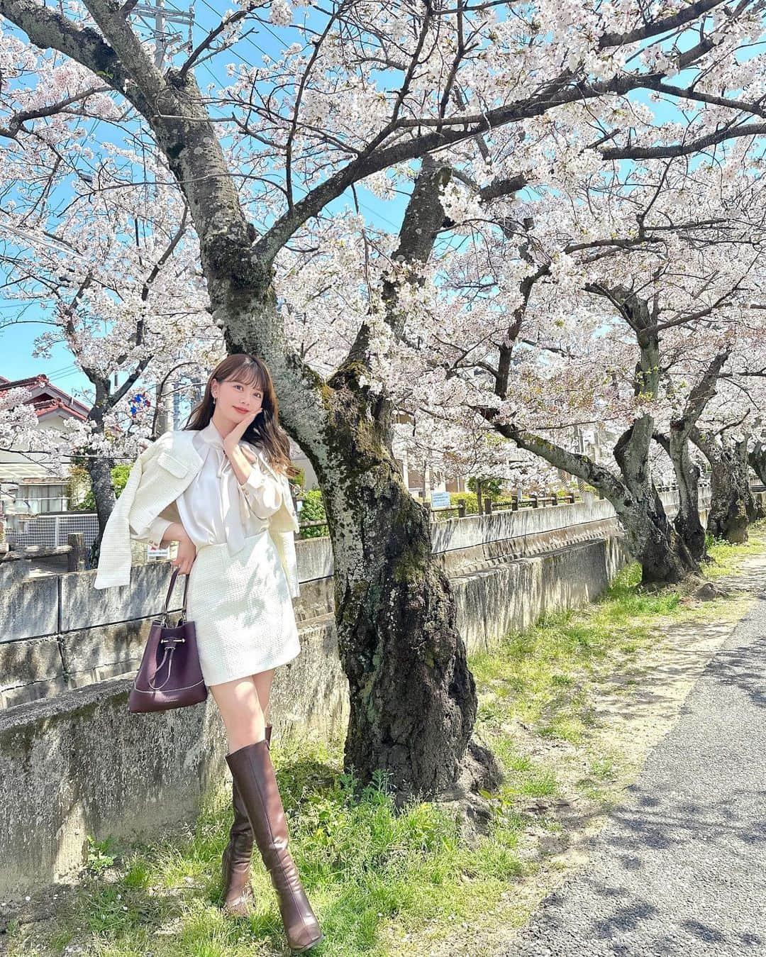 山崎春佳さんのインスタグラム写真 - (山崎春佳Instagram)「サクラ咲けっ🌸🤍🤍  東京で見られなかった桜、四日市での選挙活動中 ちょっとだけ見られた！ 桜の色、優しいピンク×白って本当にかわいいっっ  jk & skirt @emmyofficial.jp  blouse @12twelveagenda  bag @strathberry  boots @acym_official   #me #tbt #sakura #setup #emmy #blouse #cherryblossom #spring #桜 #春 #セットアップ #ロングブーツ  ちなみに、桜には触れておりません👍🏻(そう見えちゃっている気がしたので念のため)」4月9日 21時56分 - haruka_yamazaki