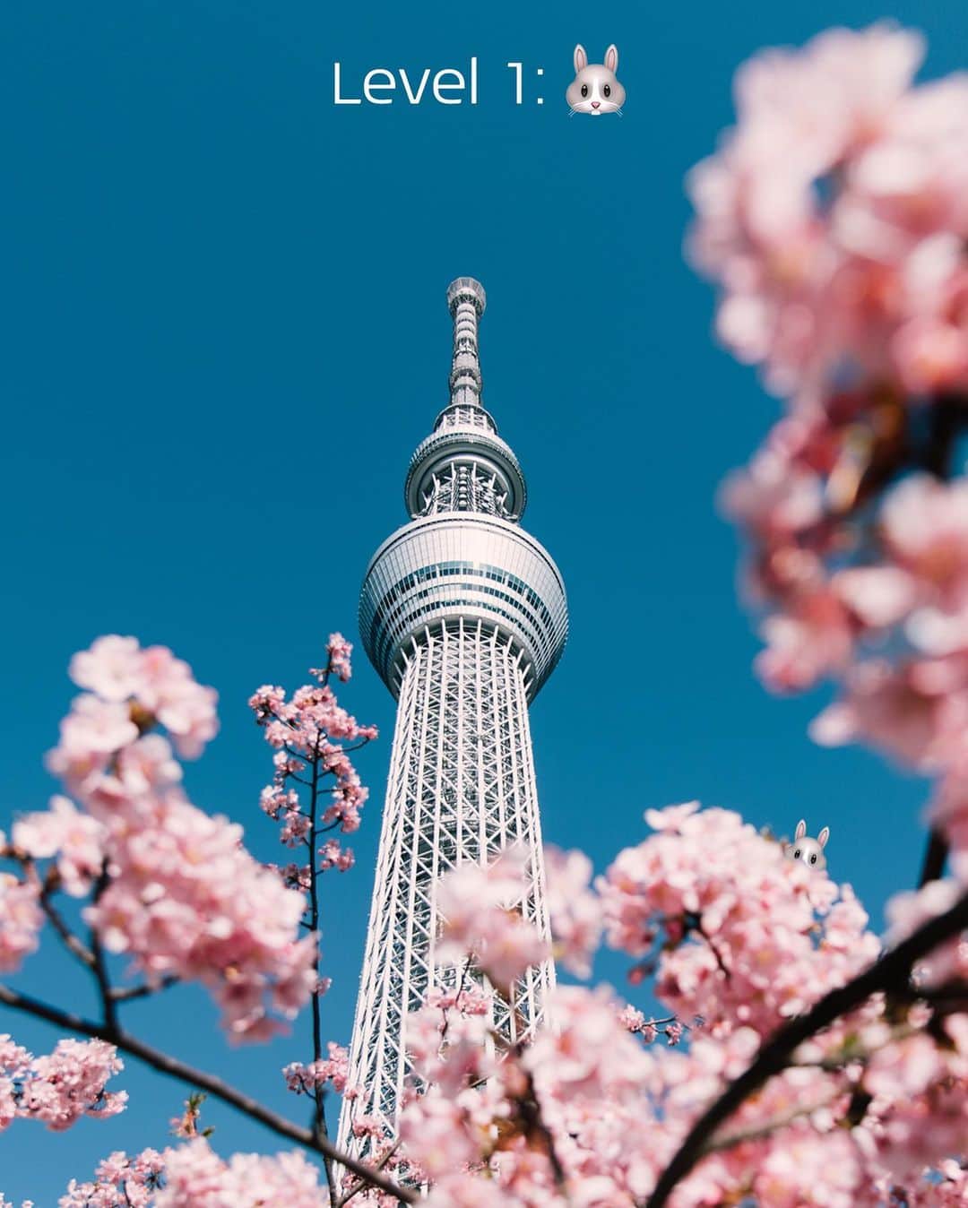 KLMオランダ航空さんのインスタグラム写真 - (KLMオランダ航空Instagram)「From the lush Costa Rican jungle to colourful Ethiopian markets, we’ve hidden easter eggs at some of our most egg-citing destinations around the world! Have you found them all? 🐣🐰 #klm #royaldutchairlines #happyeaster #easter #eggciting #egghunt #traveltheworld」4月9日 21時59分 - klm