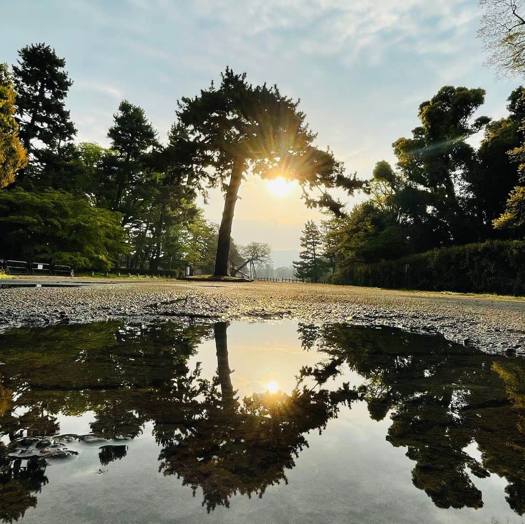 菊地哲さんのインスタグラム写真 - (菊地哲Instagram)「Kyoto,JP / Apr 8,2023」4月9日 22時08分 - greatzupper