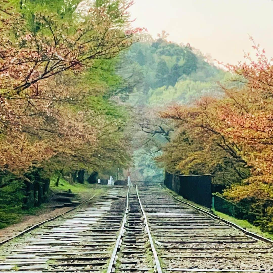 菊地哲さんのインスタグラム写真 - (菊地哲Instagram)「Kyoto,JP / Apr 8,2023」4月9日 22時08分 - greatzupper