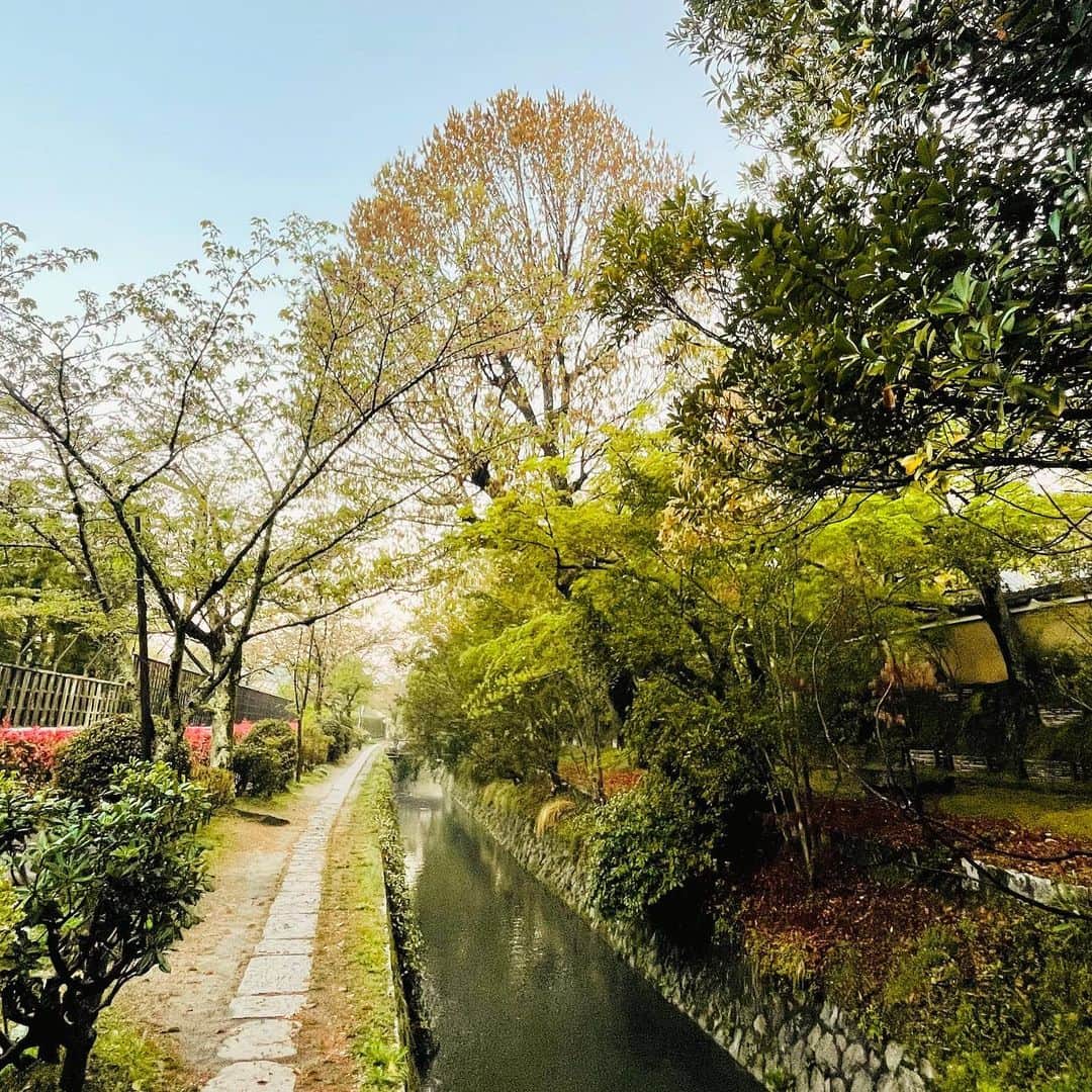 菊地哲さんのインスタグラム写真 - (菊地哲Instagram)「Kyoto,JP / Apr 8,2023」4月9日 22時08分 - greatzupper
