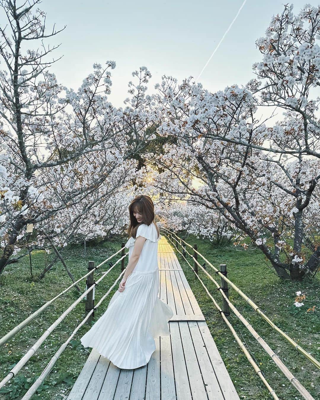 谷まりあさんのインスタグラム写真 - (谷まりあInstagram)「今回の京都散歩も素敵な時間になりました☺️ 桜を見に行くことと京都に行ったら毎回する座禅が今回の京都旅の目標でした🇯🇵自分の心に集中する時間を毎度教えてもらえて感謝です✨🌿 自然をゆっくり堪能できた気がして心がスッキリです🌿家族やお友達、もちろんマネージャーさんにも送りましたが、皆さんにも綺麗な桜を🌸🌸  久しぶりの京都になりましたが、お店の方やお寺でお話しを聞く中で新しい発見がいくつもあって、旅行は大切な時間だと再確認しました✨旅行するたびに視野が広がる気もします！  旅はこの先もずっとできる良い趣味ですね！！ 時間作ろうっ！はい！！！  また明日から1週間始まりますね！ゆっくり休んでください😴  仁和寺御室桜🌸、 座禅は建仁寺　両足院　にお邪魔しました。 よしえちゃん大ちゃんありがとう✨」4月9日 22時14分 - mariaaaa728