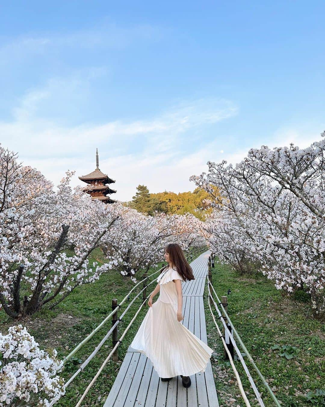 谷まりあさんのインスタグラム写真 - (谷まりあInstagram)「今回の京都散歩も素敵な時間になりました☺️ 桜を見に行くことと京都に行ったら毎回する座禅が今回の京都旅の目標でした🇯🇵自分の心に集中する時間を毎度教えてもらえて感謝です✨🌿 自然をゆっくり堪能できた気がして心がスッキリです🌿家族やお友達、もちろんマネージャーさんにも送りましたが、皆さんにも綺麗な桜を🌸🌸  久しぶりの京都になりましたが、お店の方やお寺でお話しを聞く中で新しい発見がいくつもあって、旅行は大切な時間だと再確認しました✨旅行するたびに視野が広がる気もします！  旅はこの先もずっとできる良い趣味ですね！！ 時間作ろうっ！はい！！！  また明日から1週間始まりますね！ゆっくり休んでください😴  仁和寺御室桜🌸、 座禅は建仁寺　両足院　にお邪魔しました。 よしえちゃん大ちゃんありがとう✨」4月9日 22時14分 - mariaaaa728