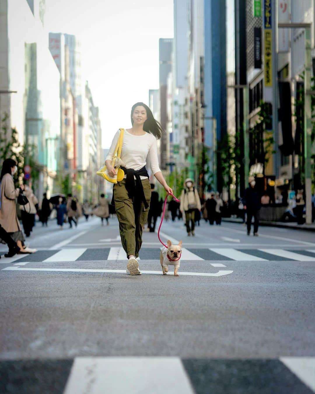 川原亜矢子さんのインスタグラム写真 - (川原亜矢子Instagram)「春を愉しむ #frenchbulldog #dog #tokyo #フレンチブルドッグ #フレブル #散歩 #春」4月9日 22時15分 - ayakokawahara