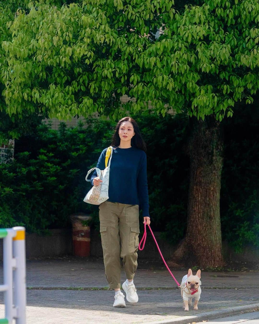 川原亜矢子のインスタグラム：「春を愉しむ #frenchbulldog #dog #tokyo #フレンチブルドッグ #フレブル #散歩 #春」