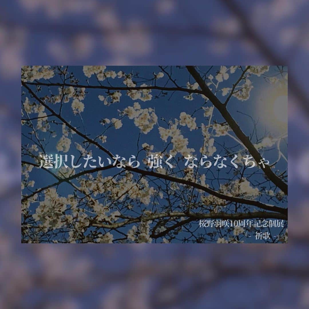 桜野羽咲のインスタグラム