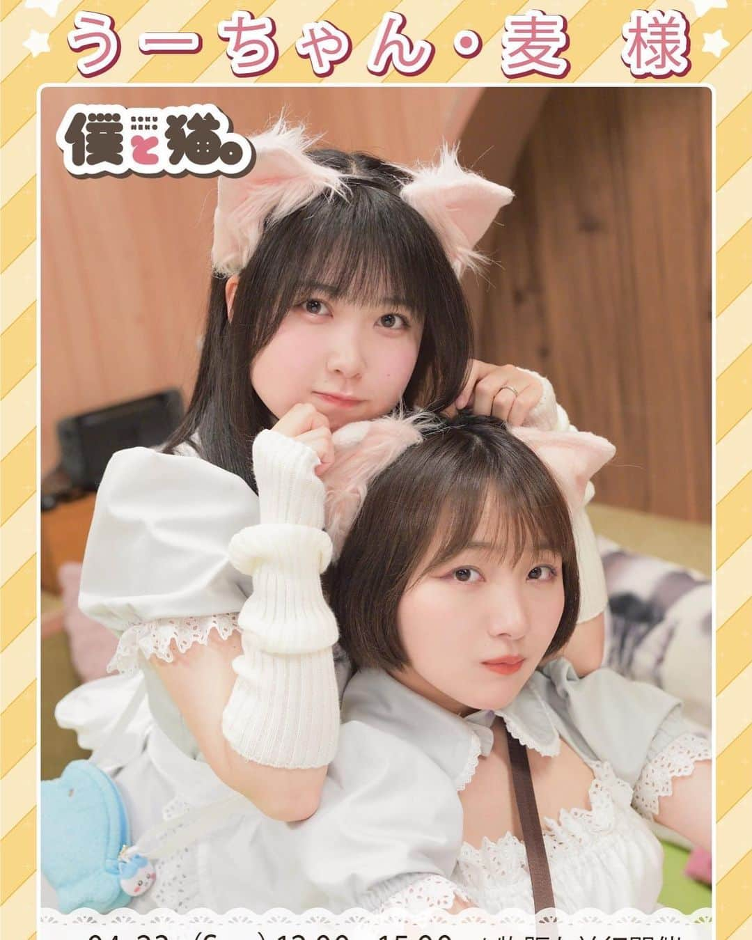 むぎのインスタグラム：「うーちゃんと、一日店長イベントやるよ〜🐈」