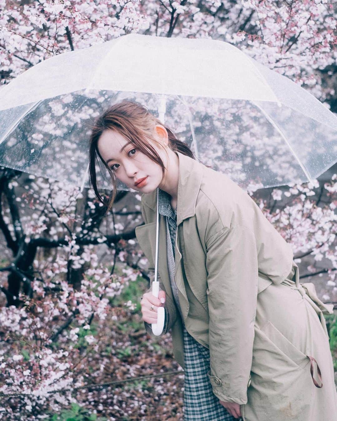 高嶋芙佳さんのインスタグラム写真 - (高嶋芙佳Instagram)「桜ってあっという間に散っちゃう。 #雨 #雨撮影 #桜 #春  #人像攝影 #portraitphotography #被写体さんと繋がりたい #純猥談写真」4月10日 17時30分 - fu__ka_2