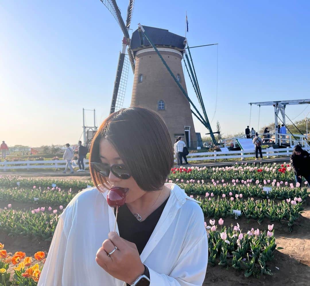 坪内紫苑のインスタグラム：「. . . Day Off🚗💨 りんご飴大好きやけど、りんごのあたりはずれ大きいのが難点… こんな数のチューリップ見たことない🌷 4/22〜大会が続くので切り替えて頑張ります💪💪 . #千葉#佐倉市#佐倉ふるさと広場#チューリップ#dayoff」
