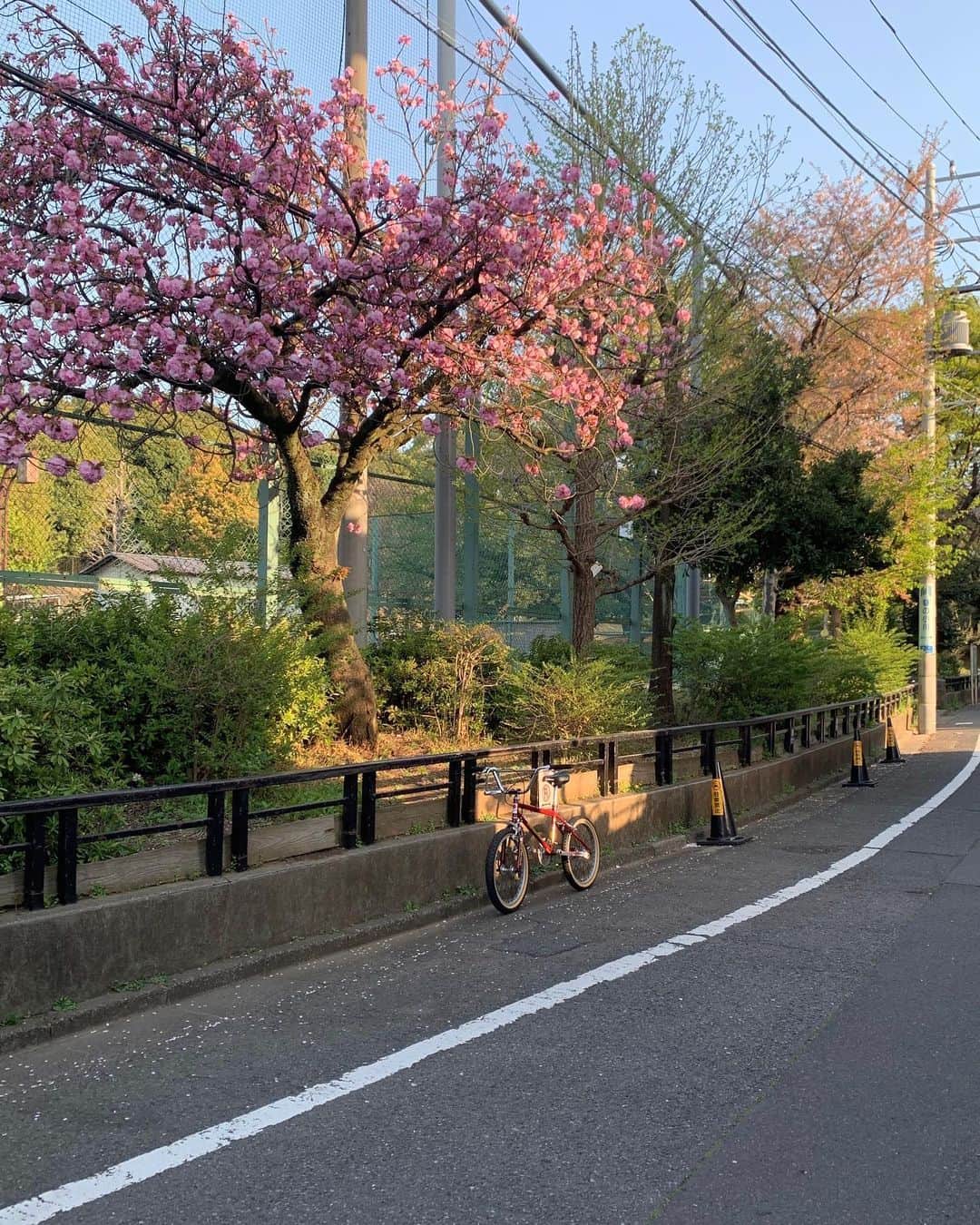 ユンジュさんのインスタグラム写真 - (ユンジュInstagram)「3년 만에 도쿄에 가다 .. 🤍🤍🤍」4月9日 22時45分 - __pink_tape