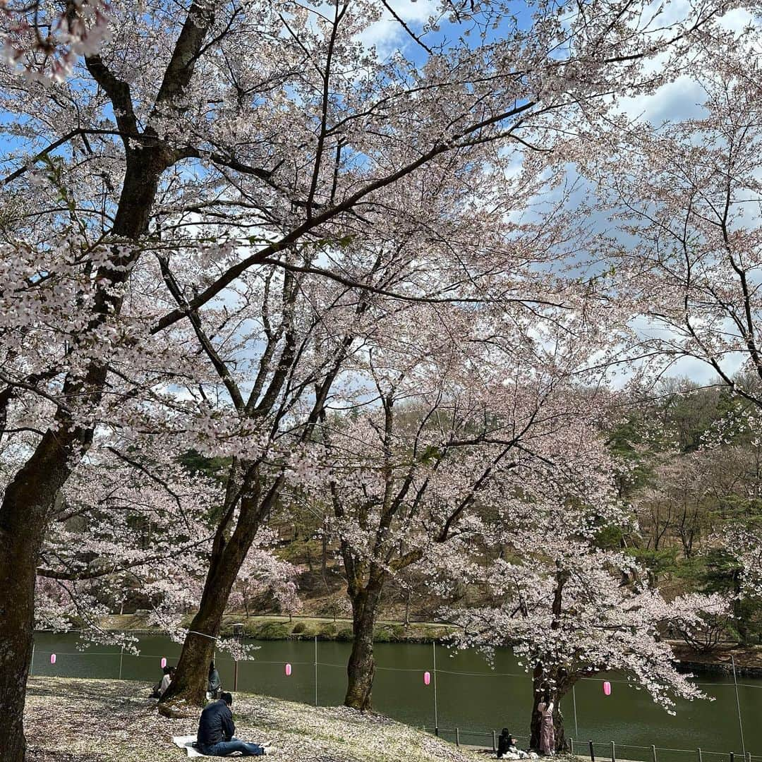 穂川果音さんのインスタグラム写真 - (穂川果音Instagram)「桜追いかけ旅🌸 東京の桜が散ってしまったので、新潟の長岡まで行ってきました！ なんで長岡なの？という質問がありましたが、この週末で見頃になりそうな場所で、アクセスが良いかつ行ってみたいところで選びました😊 悠久山公園のソメイヨシノはもう散り始めでしだれ桜が見頃でした（4／9時点) 酒蔵が沢山あったりで観光も楽しめたので、またインスタにも載せますね〜✨  #悠久山公園　#お花見　#桜　#新潟　#長岡　#sakura #桜2023 #trip #japantrip」4月9日 22時46分 - hokawakanonn