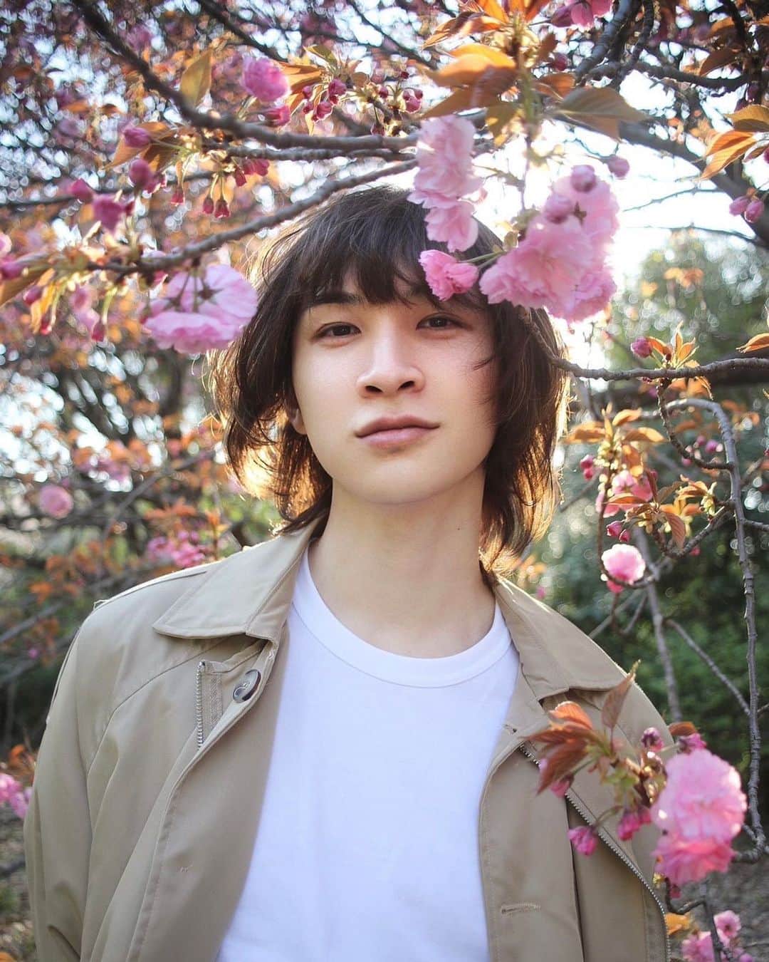 大隅勇太のインスタグラム：「今年も桜見れたよ🌸」