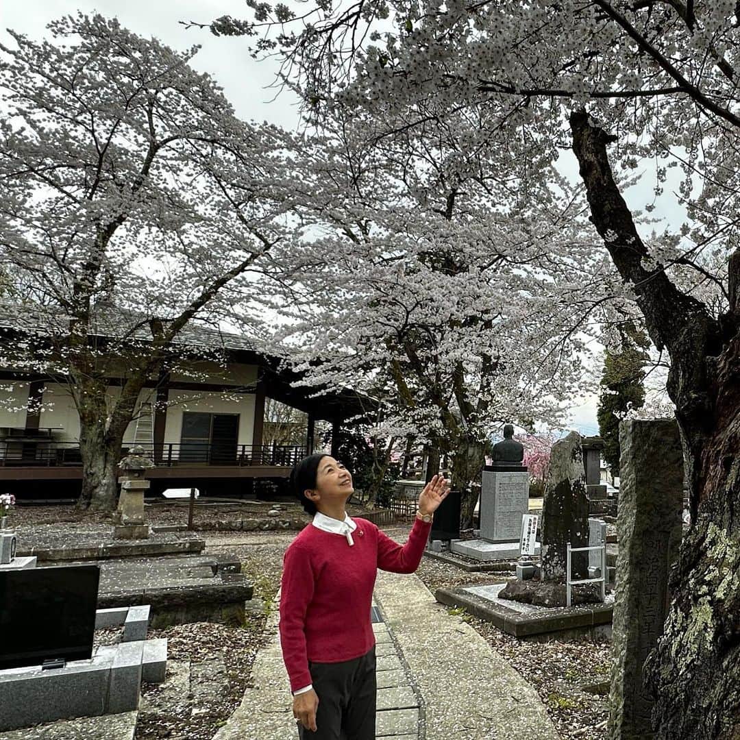 宮崎美子さんのインスタグラム写真 - (宮崎美子Instagram)「皆さん、こんばんは。  先日、仙台でのお仕事の前日に寄り道して会津若松へ行ってきました。  正に満開の桜🌸会津若松。 鶴ヶ城は所狭しと桜が🌸満開でした。  また、後日、ゆっくりとこの会津若松旅の模様はYouTubeでご覧いただきますね。  #桜 #会津若松 #鶴ヶ城 #西郷千恵子 #西郷頼母」4月9日 22時57分 - miyazakiyoshiko.official