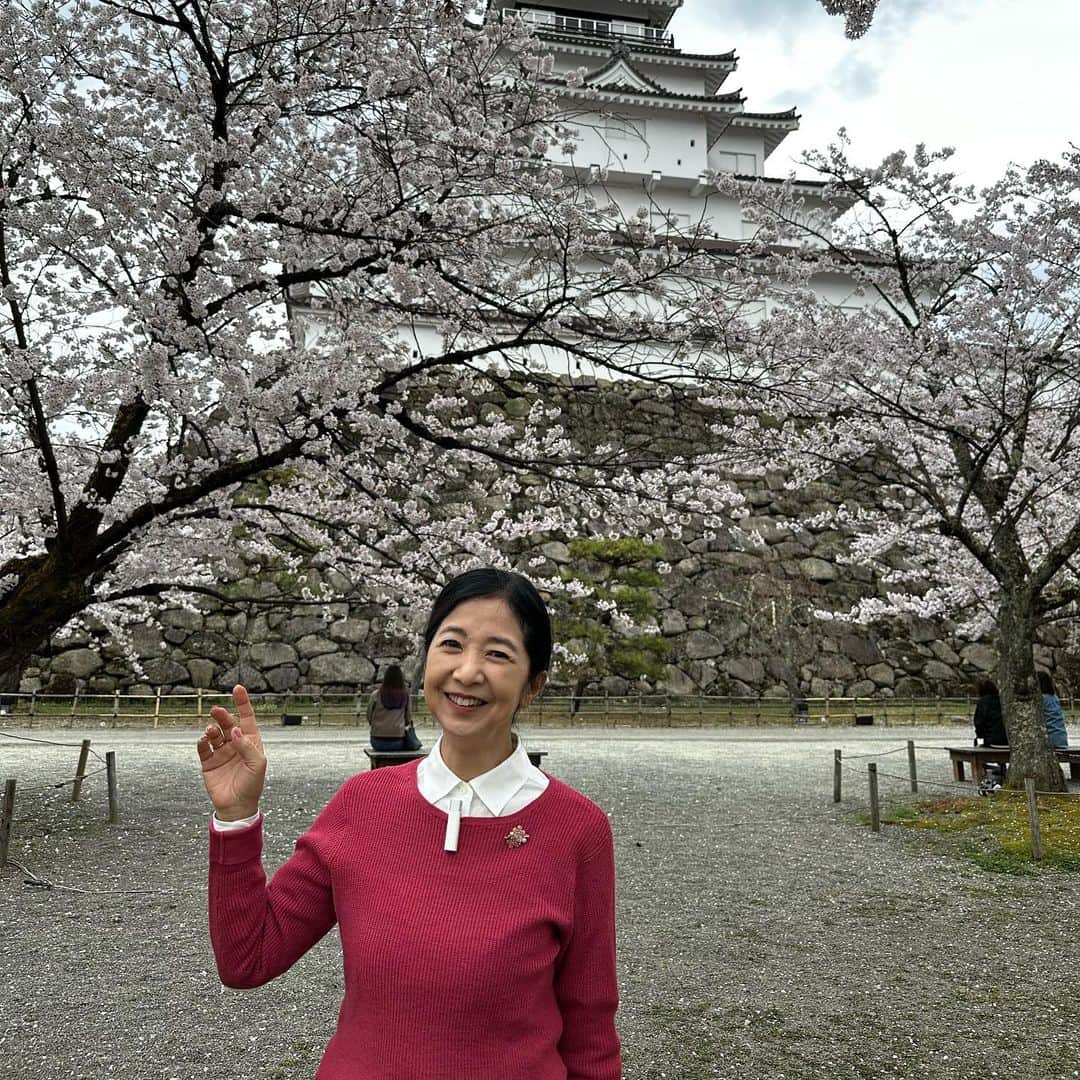 宮崎美子さんのインスタグラム写真 - (宮崎美子Instagram)「皆さん、こんばんは。  先日、仙台でのお仕事の前日に寄り道して会津若松へ行ってきました。  正に満開の桜🌸会津若松。 鶴ヶ城は所狭しと桜が🌸満開でした。  また、後日、ゆっくりとこの会津若松旅の模様はYouTubeでご覧いただきますね。  #桜 #会津若松 #鶴ヶ城 #西郷千恵子 #西郷頼母」4月9日 22時57分 - miyazakiyoshiko.official