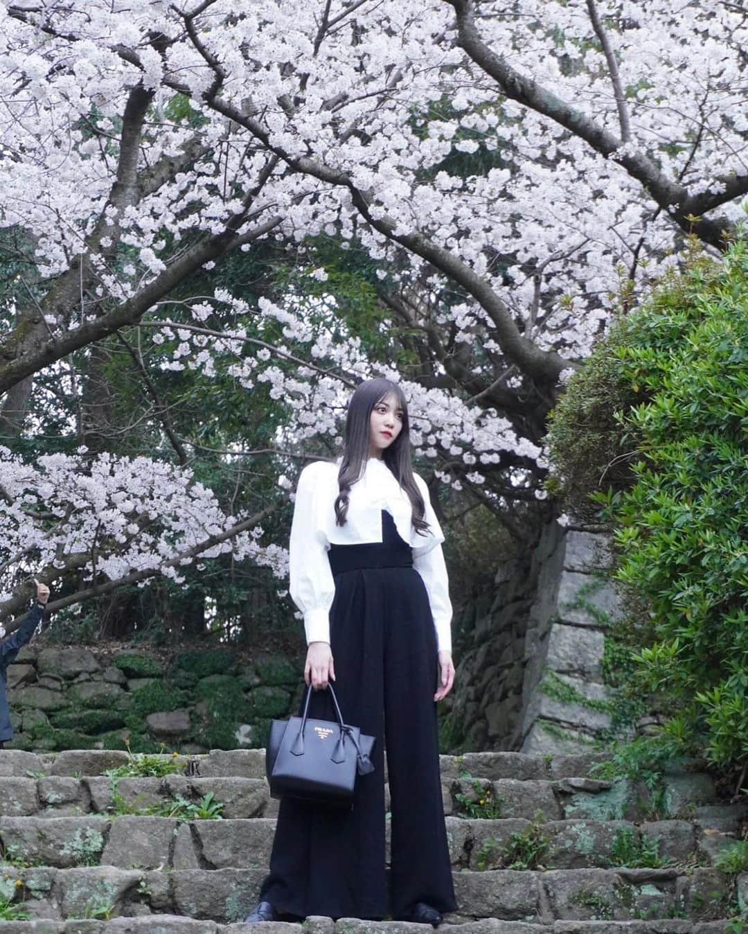 上野瞳さんのインスタグラム写真 - (上野瞳Instagram)「今年のお花見は福岡で🌸🌸🌸 舞鶴公園お気に入りお花見スポット🕊 私が立っている所から見える景色が また素敵で🥰(最後に載せました🙏)  石垣と桜がなんとも言えない美しくさ🌸 古き日本、福岡城跡を感じられ好きでした💭  この日はかっこよく決めたい気分で めずらしくパンツスタイルに🖤🖤 もちろんモノトーンコーデです🖤🤍 ブラウスは前リールでも登場した子🤍🤍 ブラウス/GRLグレイル パンツ/melt the ladyメルトザレディ バッグ/PRADAプラダ パンプス/GRLグレイル  あれ？何か視線を感じる🤣🤣🤣？  #舞鶴公園 #大濠公園 #福岡観光 #福岡旅行 #福岡旅 #お花見コーデ #お花見スポット #桜スポット #福岡城 #福岡城さくらまつり #城跡 #城跡巡り#福岡城跡 #モノトーンコーデ #ブラウスコーデ #コルセット #パンツコーデ #パンツドレス #プラダ #プラダバッグ #メルトザレディ #meltthelady #grl #grl購入品 #grlコーデ #pradabag」4月9日 23時01分 - hitomi.8