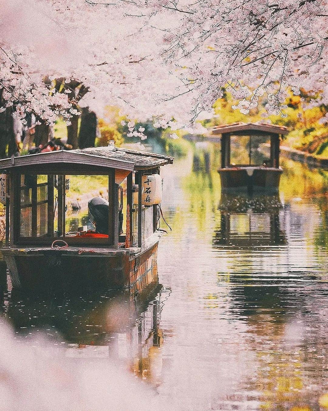 Berlin Tokyoのインスタグラム：「Seasons come and go. Nothing remains the same. Finding beauty in impermanence is way to appreciate the nature. . . . #hellofrom kyoto #japan」