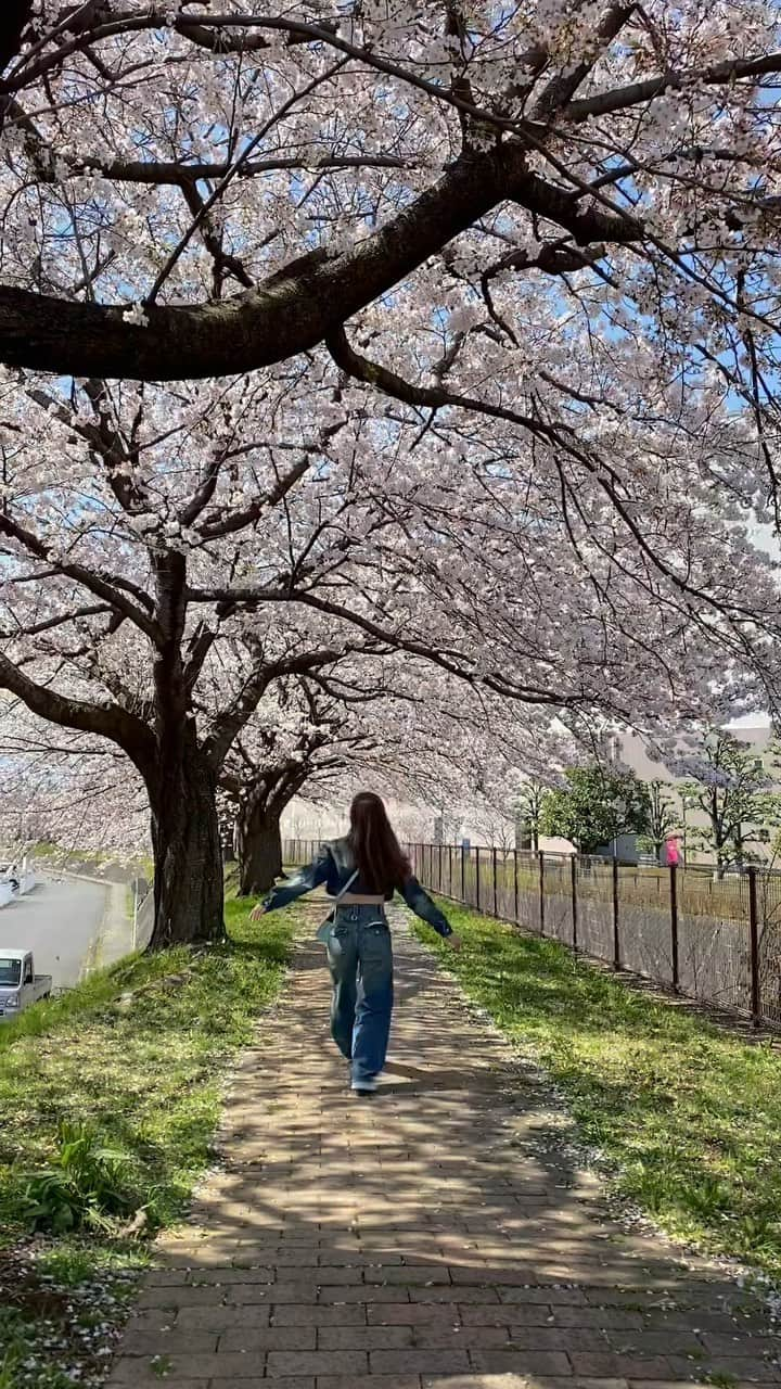 サキのインスタグラム：「静岡の思い出😊🌸  #さわやか #ハンバーグ #パラグライダー #桜 #富士山 #海と富士の茶の間 #旅行 #静岡旅行 #富士宮カフェ #静岡カフェ」