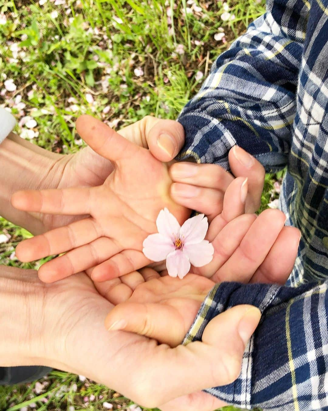 永瀬かおるさんのインスタグラム写真 - (永瀬かおるInstagram)「春ですね🌸 わが家も息子が保育園に通い始めて新生活が始まっています☺️ 今までも少しずつ保育園にはお世話になっていましたが、週５日となると母子共になかなかハード😵 週末は家族でたくさんお出かけしてリフレッシュ✨🌱🌬 1週間でサクッと慣らし保育を終えて、 来週からは息子もフルタイム勤務😂笑  余裕がある時は無理させず、 保育園に慣れてもらえるように母も頑張ります🥰  #桜　#新生活　#春が来た」4月9日 23時29分 - nagase_kaoru