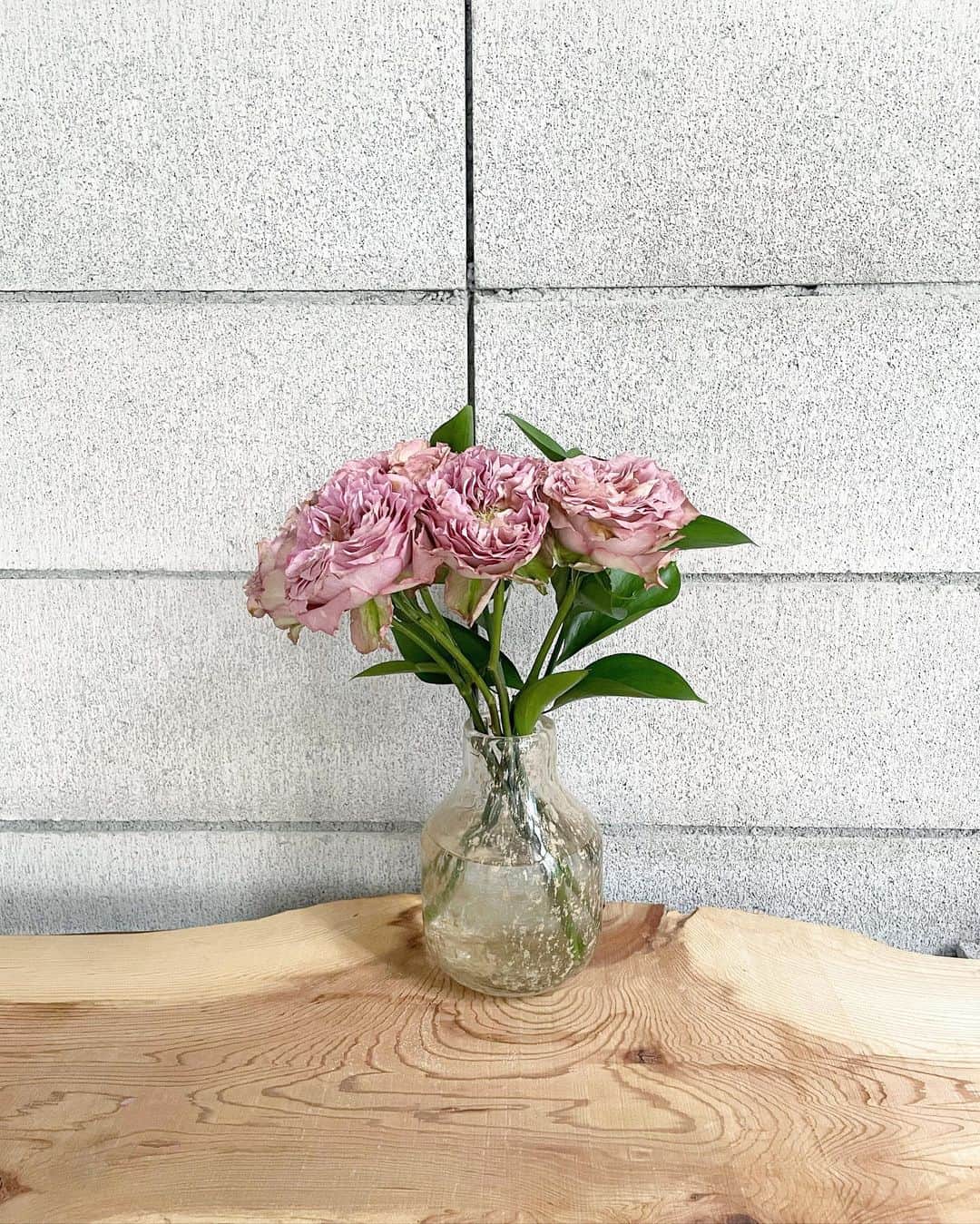 秋定麻紀子さんのインスタグラム写真 - (秋定麻紀子Instagram)「この季節が1番気持ちいい。 植物の手入れをしながら 好きな音楽を流し たくさんのお客様と触れ合う。  うちのお店は8割がインバウンド。 目掛けて来てくれるお客様もたくさん居て嬉しいです。  夏になると ロスフラワーも一旦お休みになりますが、まだまだ素敵なお花がたくさん入荷してますので、一輪からでも買いに来てくださいね。  アレンジメントも受付しています。  @yumeone_coffee  #お花のある暮らし #花のある暮らし #花屋カフェ #花屋 #花屋さん #フラワーアレンジメント #フラワーアレンジ #お花好きな人と繋がりたい #お花のある生活　#ロスフラワー  #浅草カフェ #コーヒー好きな人と繋がりたい #紅茶好きな人と繋がりたい #コーヒーのある暮らし #紅茶のある暮らし」4月9日 23時33分 - makiakisada