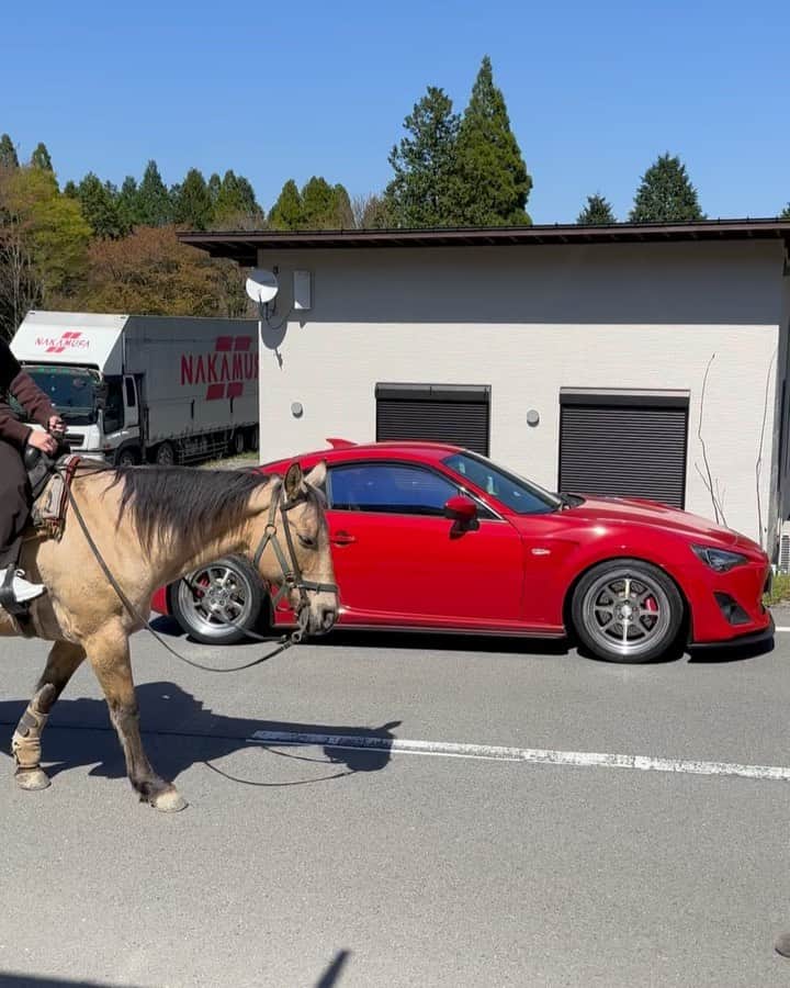 織戸学のインスタグラム：「阿蘇パラダイス  楽しかったね。  多くの皆んなに感謝。  馬は驚くね^ ^  少し体調悪かった。 ごめんなさい。  #maxorido  #阿蘇パラダイス」
