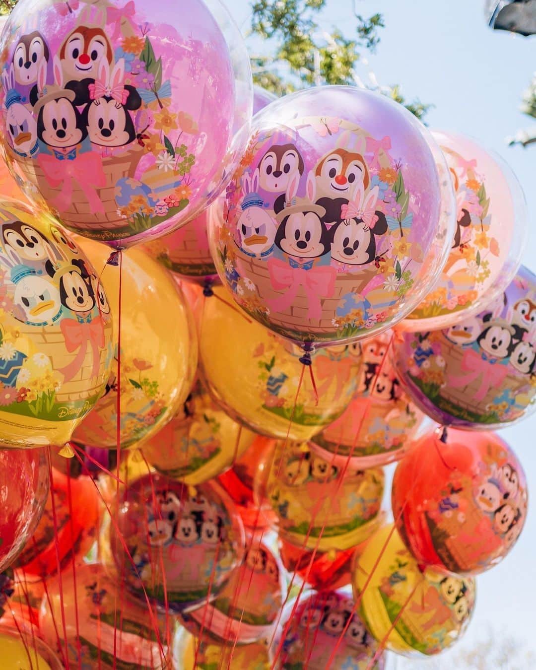 ディズニーランドさんのインスタグラム写真 - (ディズニーランドInstagram)「Hoppy Easter from your friends at #Disneyland! Drop a 🐰 to show your egg-citment for today! (📸: @adventuresinlindseyland_)」4月10日 0時00分 - disneyland