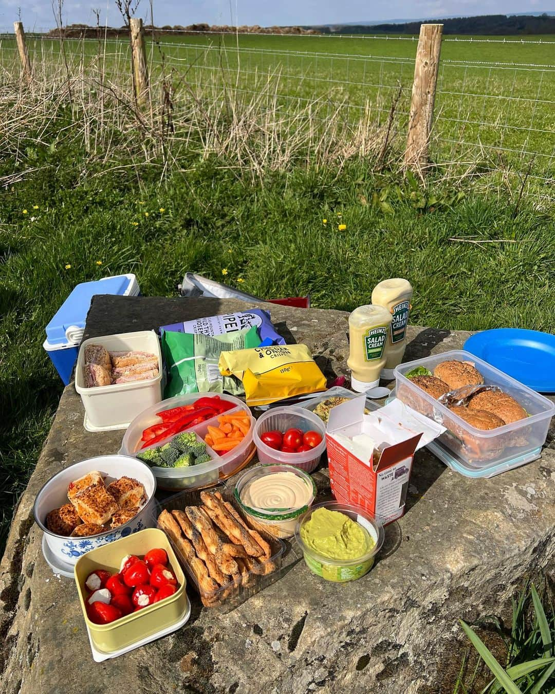 Zanna Van Dijkさんのインスタグラム写真 - (Zanna Van DijkInstagram)「A wholesome Yorkshire weekend 🫶🏼  1️⃣ Taking my Surrey boy up north 👫 2️⃣ What a beautiful view to wake up to ✨  3️⃣ Dad in his element 🥦  4️⃣ Dog walks in the Howardian Hills 🥾  5️⃣ Walk squad 🙌🏼 6️⃣ Mucky boots & paws 🐾  7️⃣ Elite level picnic from @yorkshirehelen 🧺  8️⃣ Soaking up that spring sunshine ☀️  9️⃣ Nothing beats cuddles with Ted 🐶   Happy Easter you lovely bunch 🐰 #easterweekend #eastersunday #easterbankholiday」4月10日 0時13分 - zannavandijk