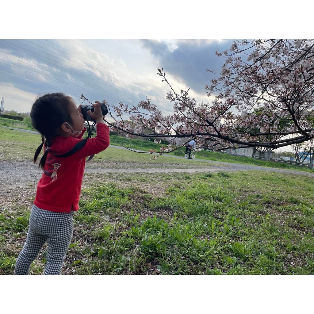 山田真以さんのインスタグラム写真 - (山田真以Instagram)「先日お誕生日を迎えました🎂🌸 自分の年齢を見ると恐ろしく、一年がそれはそれは早く感じます😇が、家族におめでとうってお祝いしてもらい嬉しく思いました💐 娘は、ケーキをフー！したくて人の誕生日を自分の誕生日のように喜びます🤣🌈 ラジオのお仕事から随分と離れているのにも関わらず、お祝いメッセージを届けて下さった沢山の皆さま、ありがとうございました🥰💞  写真は、家族とのお祝い。 そして見沼区の桜と、お友だちと見に行った三橋公園の桜。 どちらもとってもとっても綺麗でした🌸🍃」4月10日 0時23分 - maaai.yamada